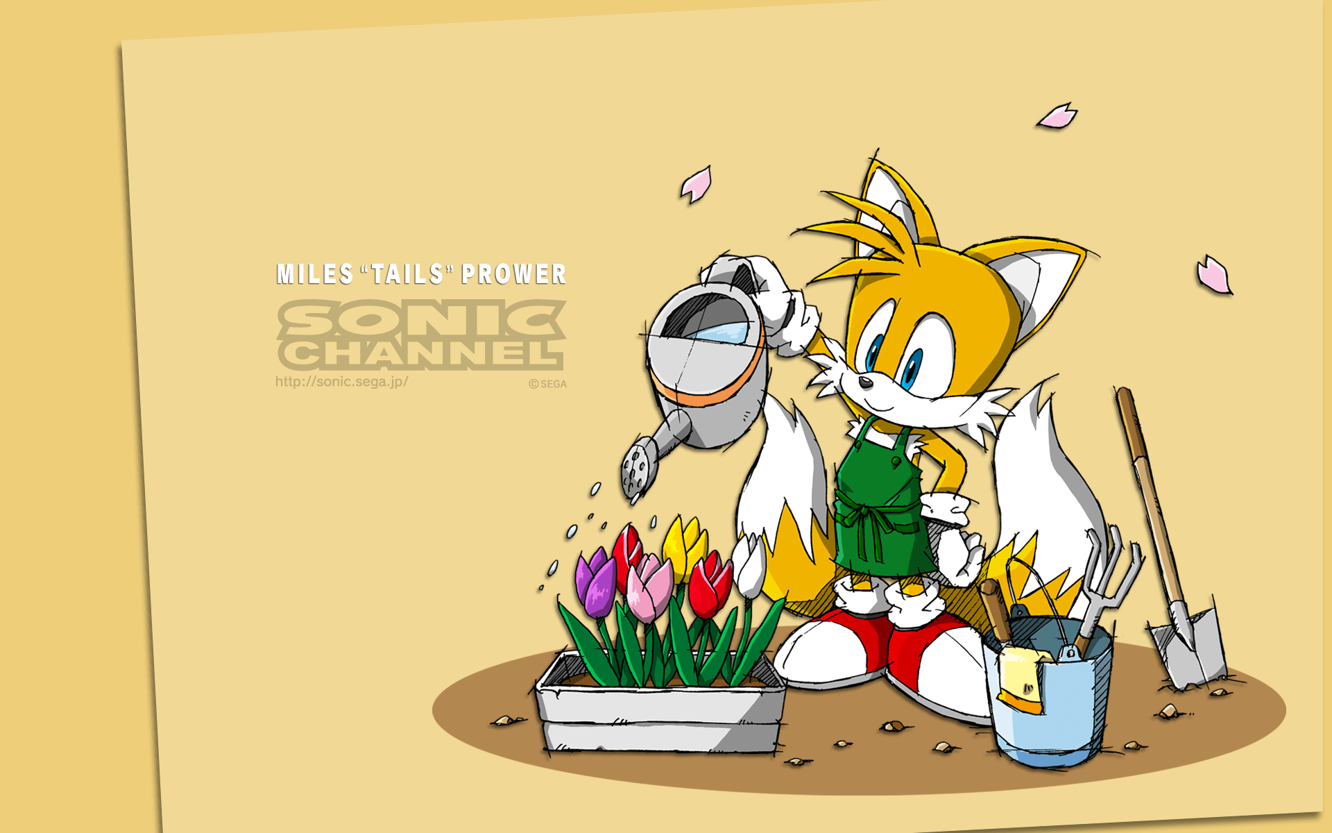 1920x1200 Miles “Tails” Prower (April 2013) Channel Wallpaper