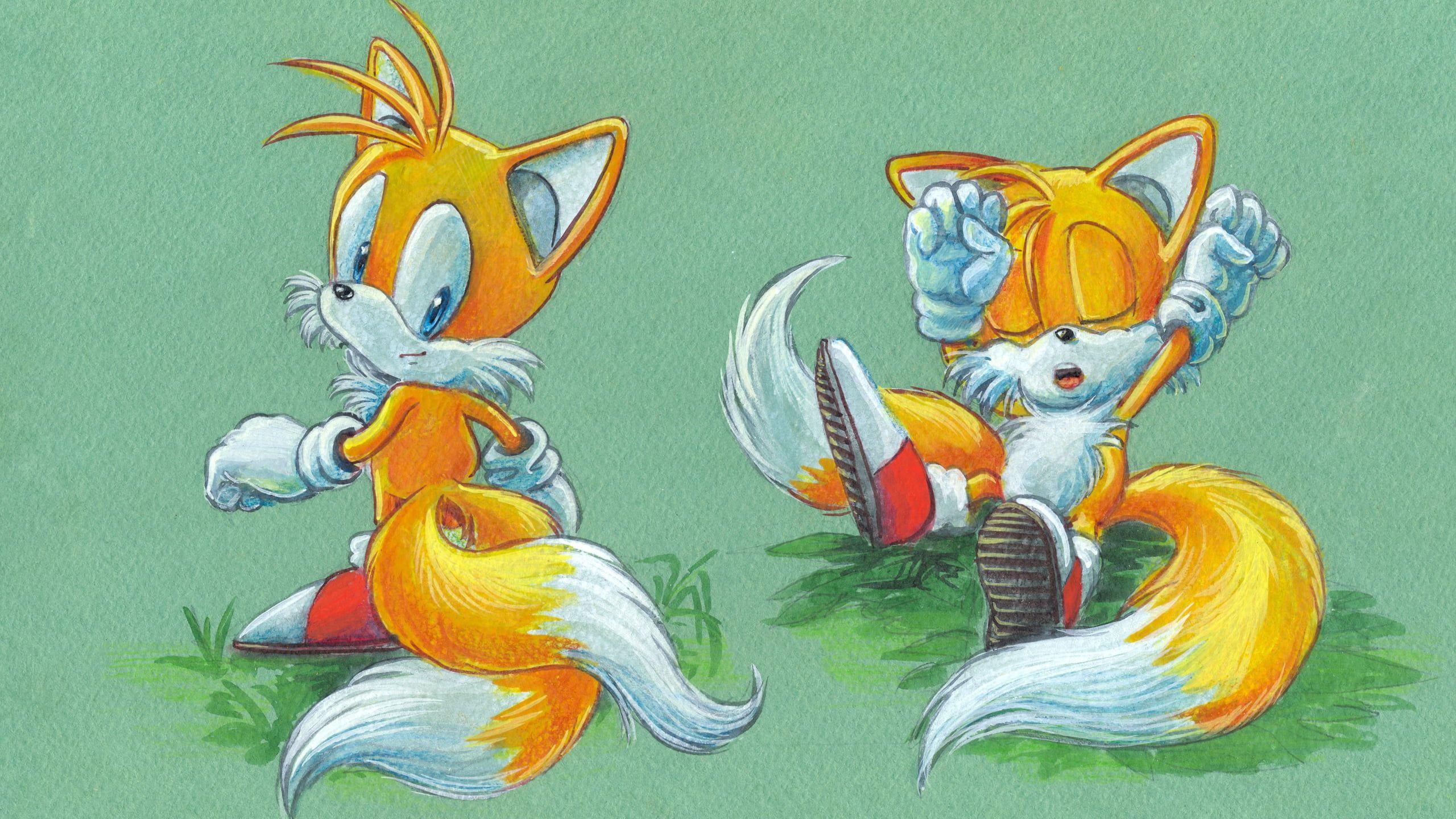 2560x1440 Orange fox illustration, Tails (character), video games