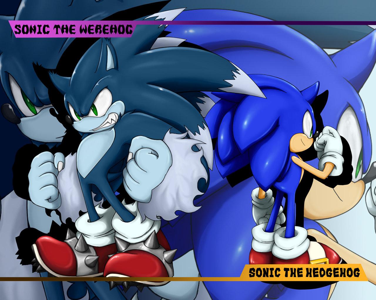 1280x1024 Sonic Unleashed wallpaper HD for desktop background