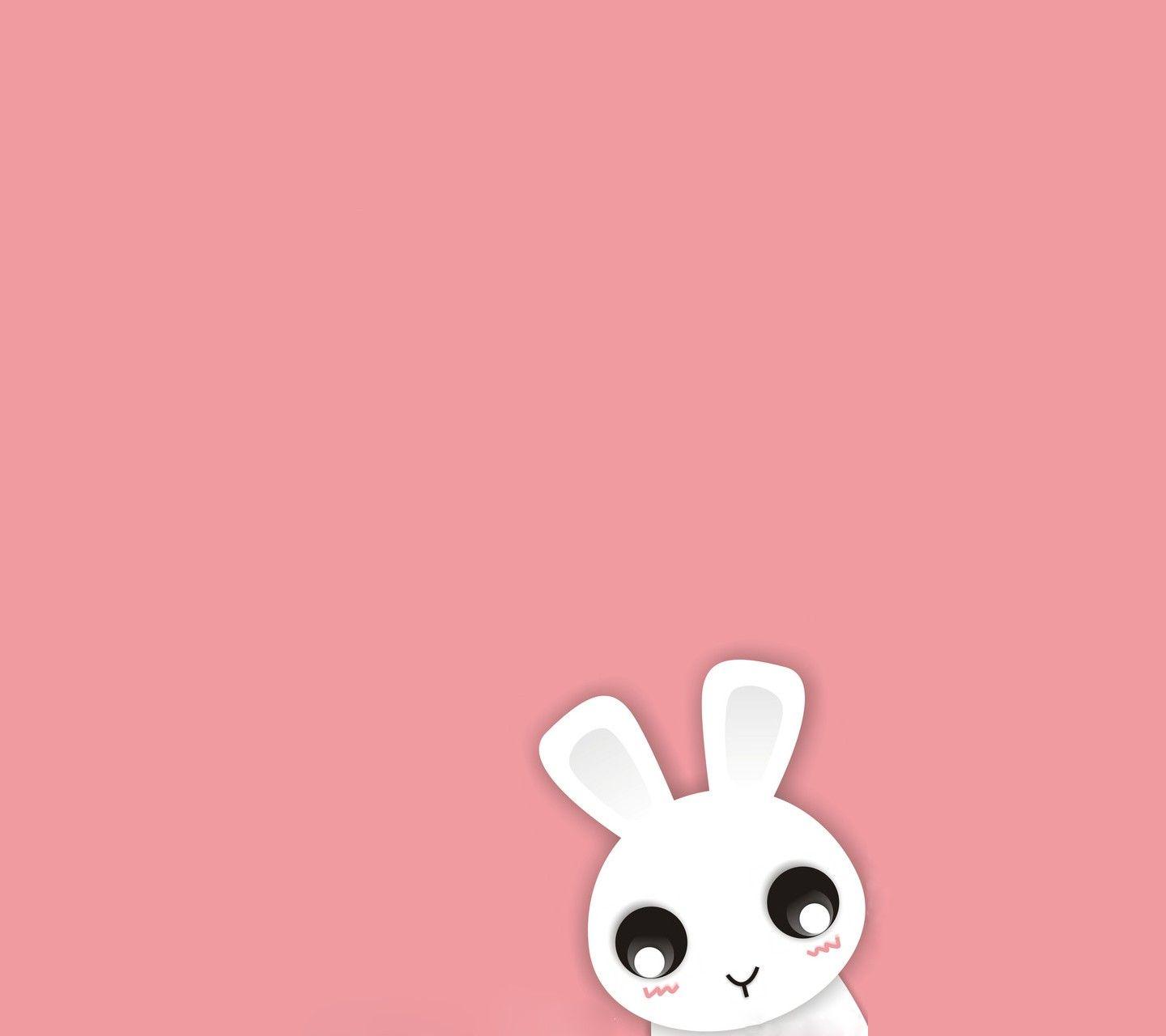 Rabbit Wallpaper HD by rahalDev  Android Apps  AppAgg