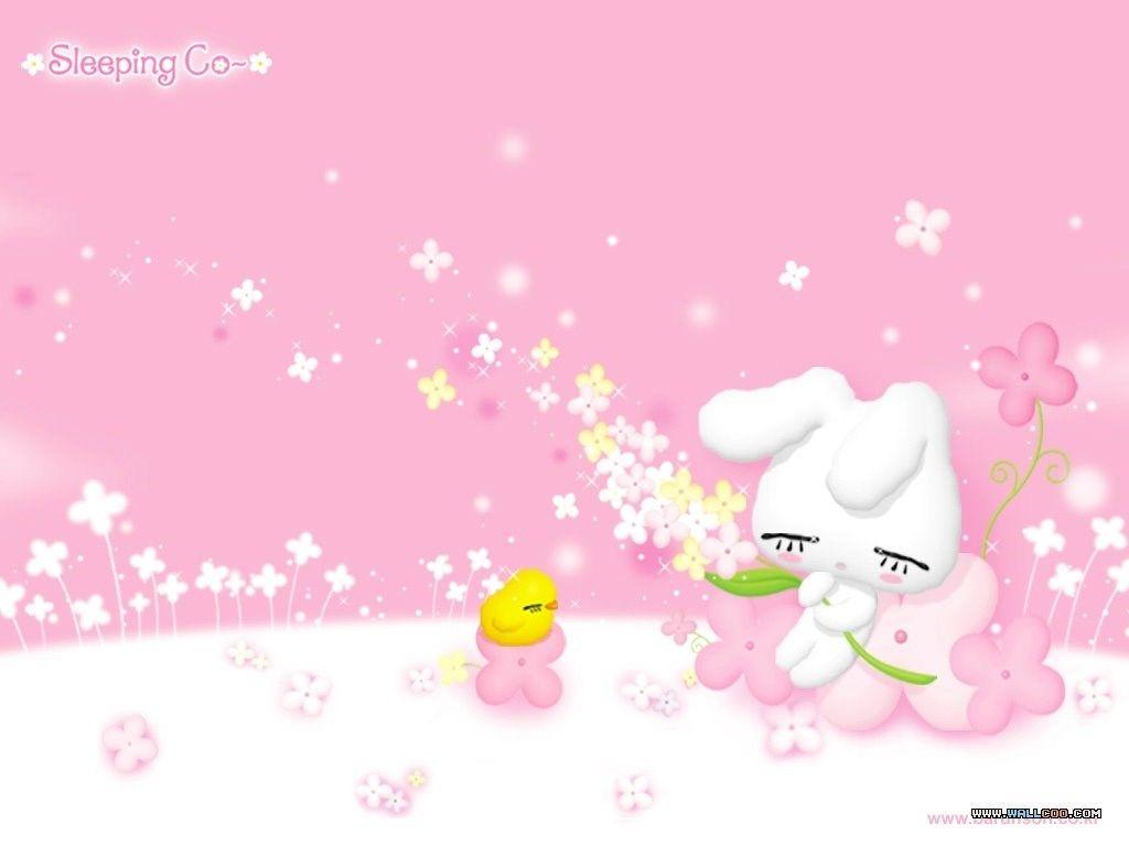 1024x768 Korean Cartoon Rabbit Wallpaper Sleeping Co7 Wallcoo