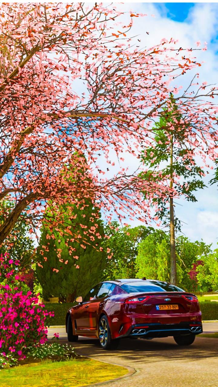 720x1280 Kia stinger gt wallpaper
