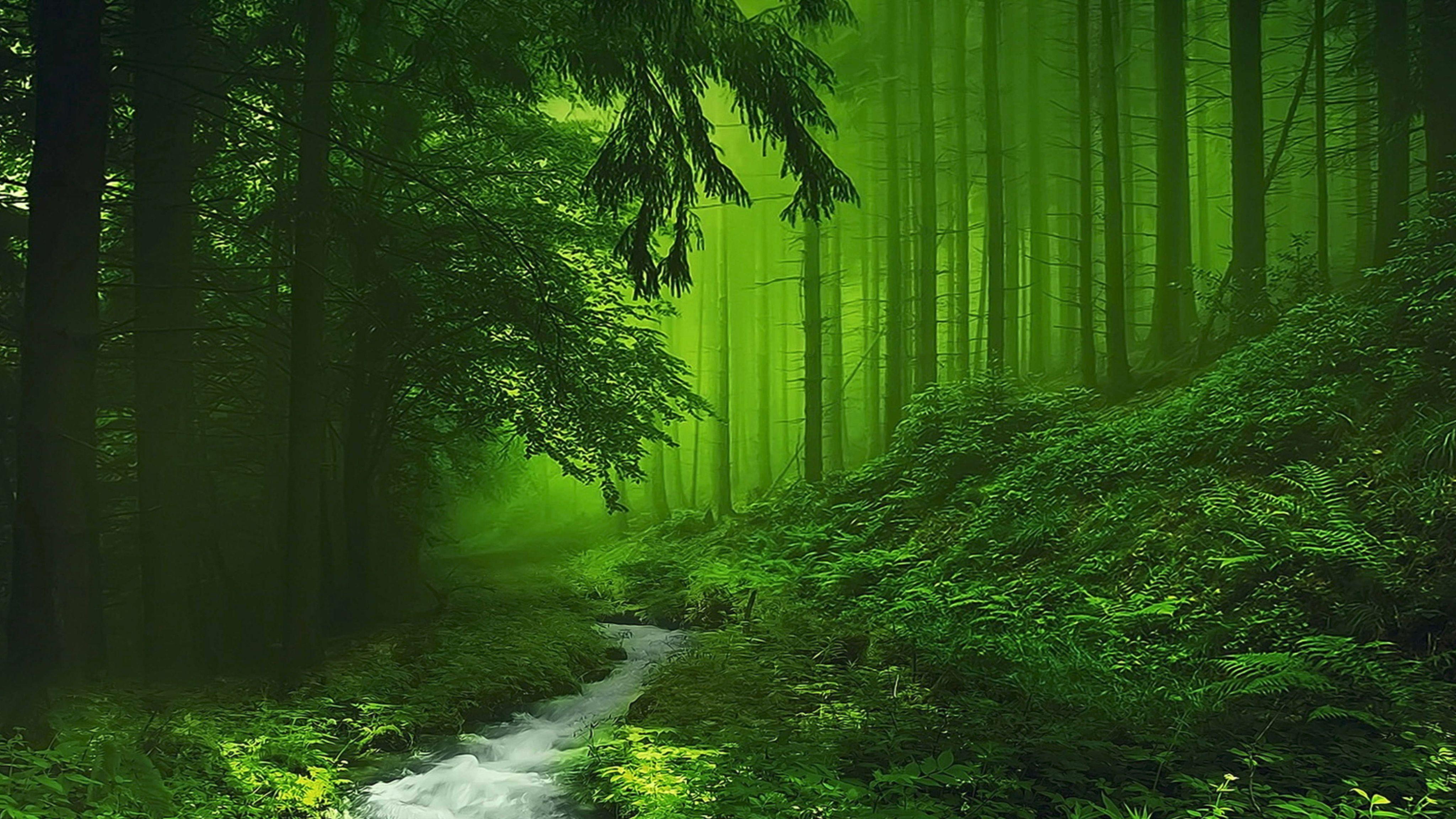4096x2304 nature wallpaper windows 10
