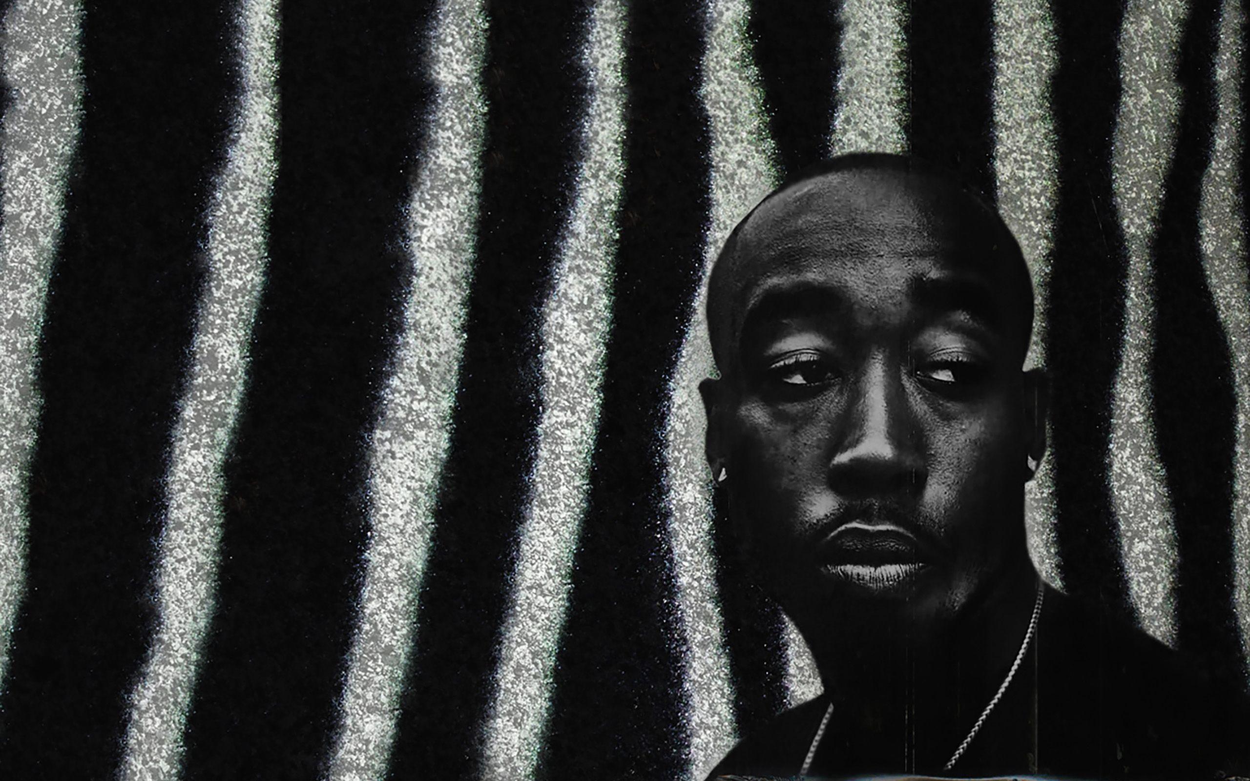 Freddie gibbs freddie download - zoomsuite