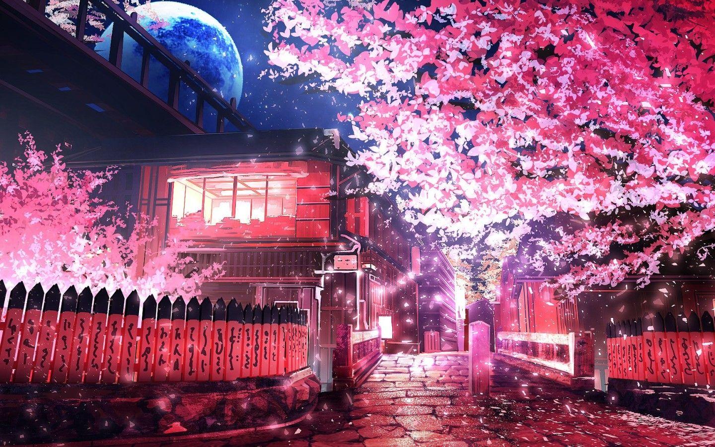 1440x900 Cherry Tree Anime 1440x900 Resolution HD 4k Wallpaper