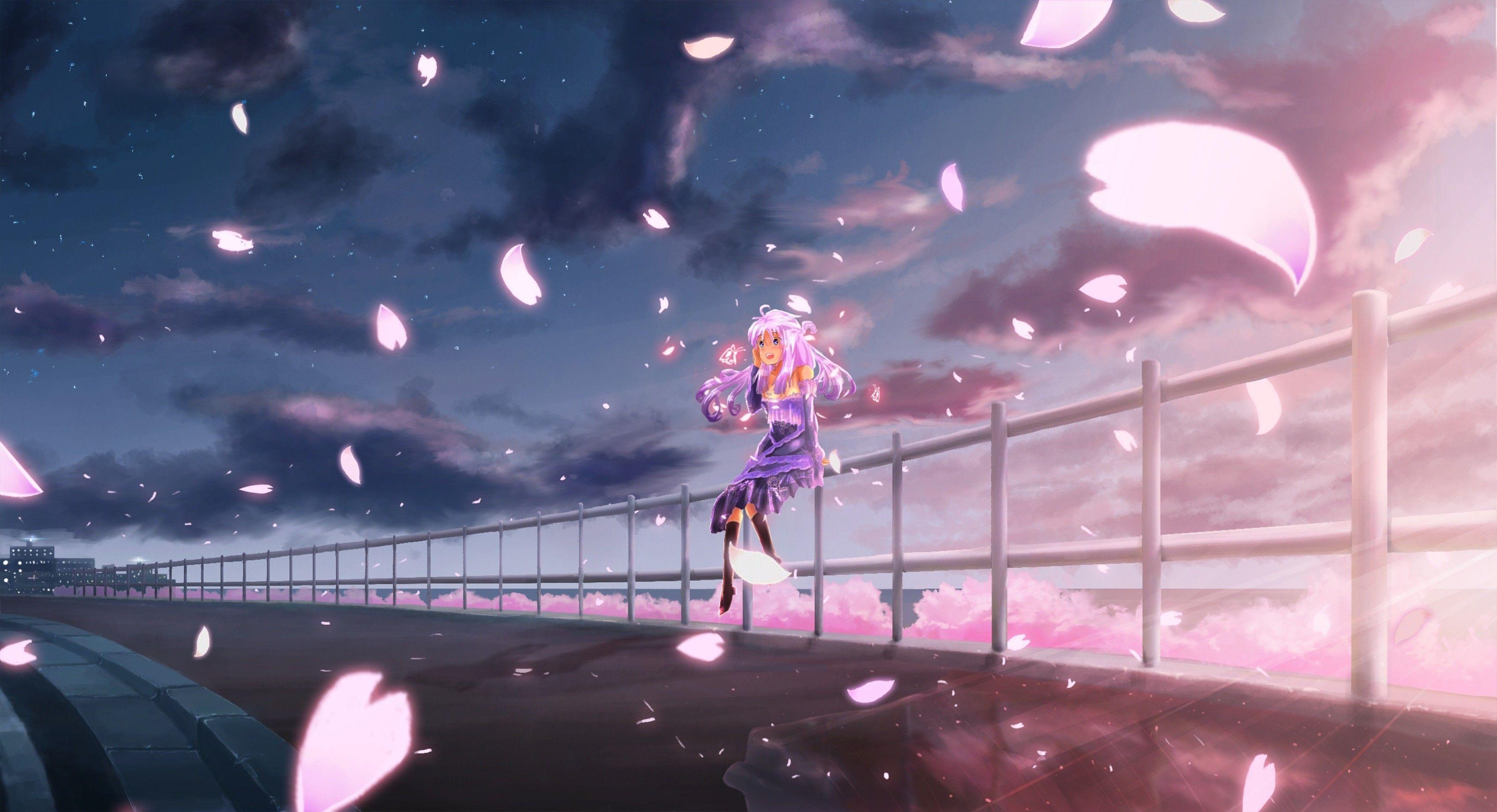 3400x1845 Anime Cherry Blossom Wallpaper