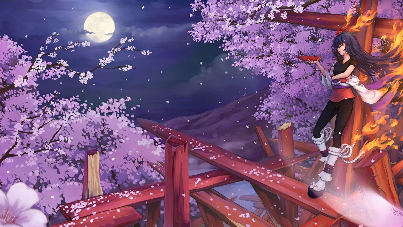 1366x768 Desktop Wallpaper Magic Cherry blossom wing no kioku, 1366x768
