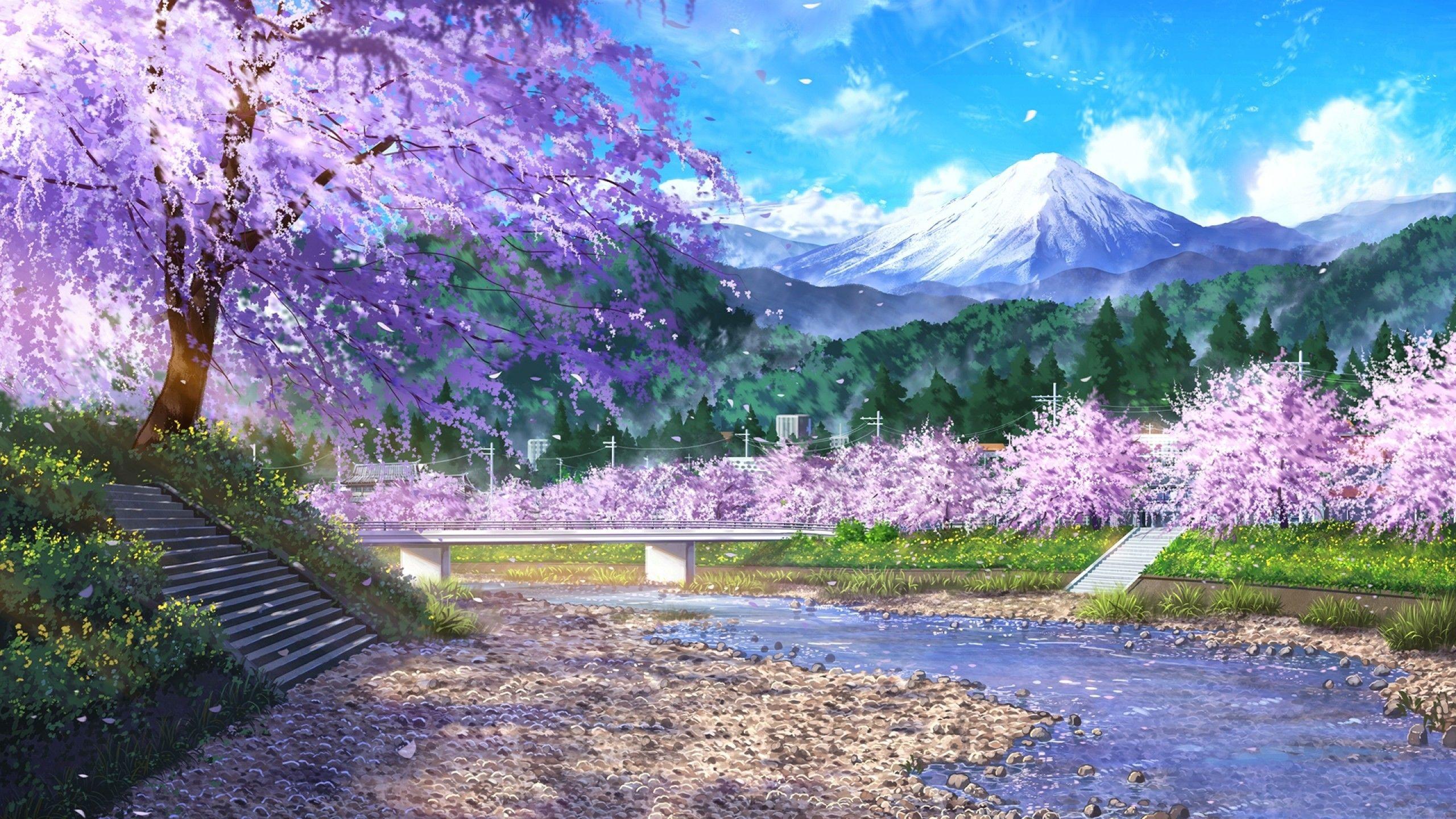 2560x1440 Download 2560x1440 Anime Landscape, Flowers, Scenic, Cherry