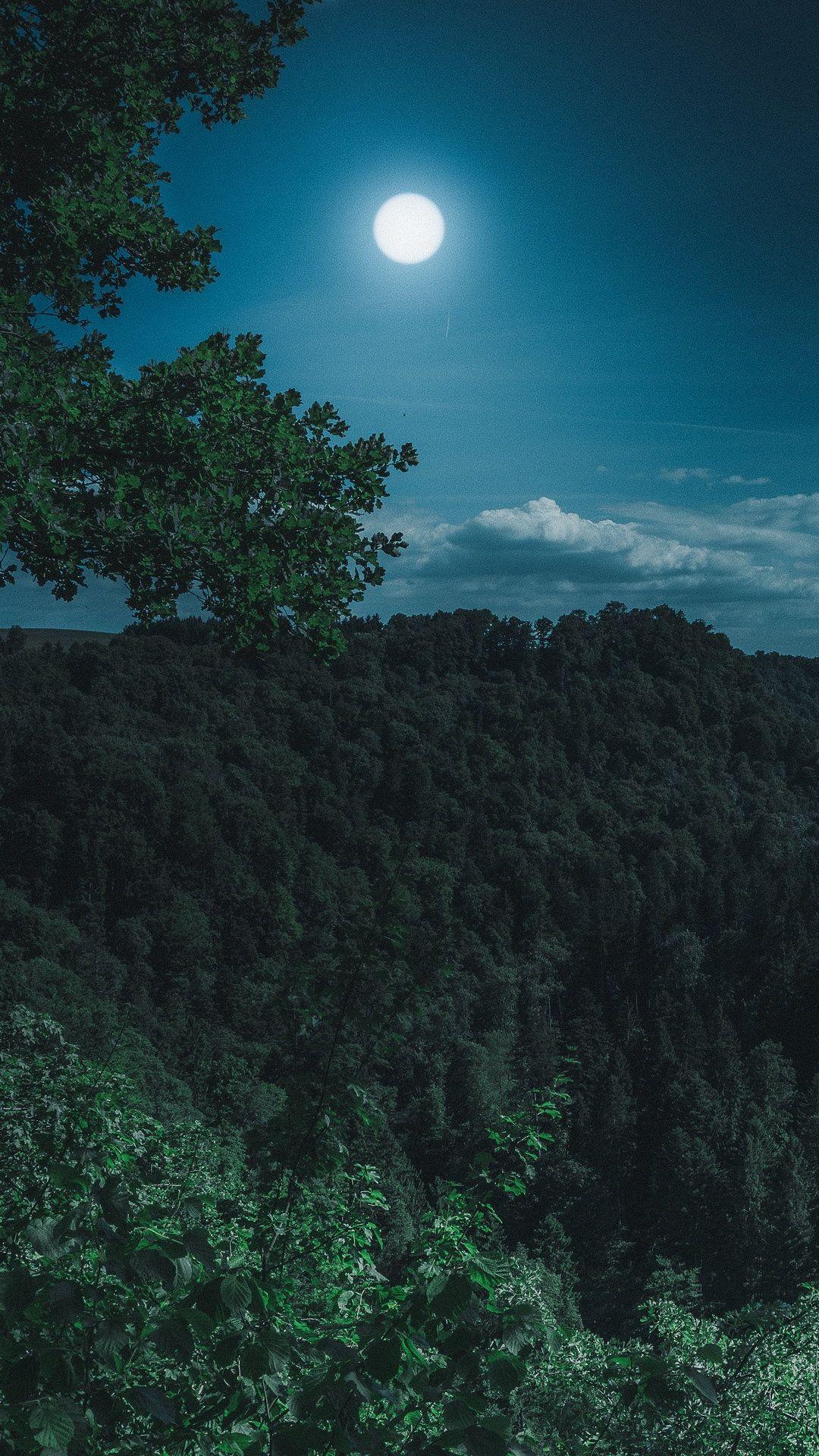 1080x1920 Forest Mountains Moon Wallpaper Forest At Night