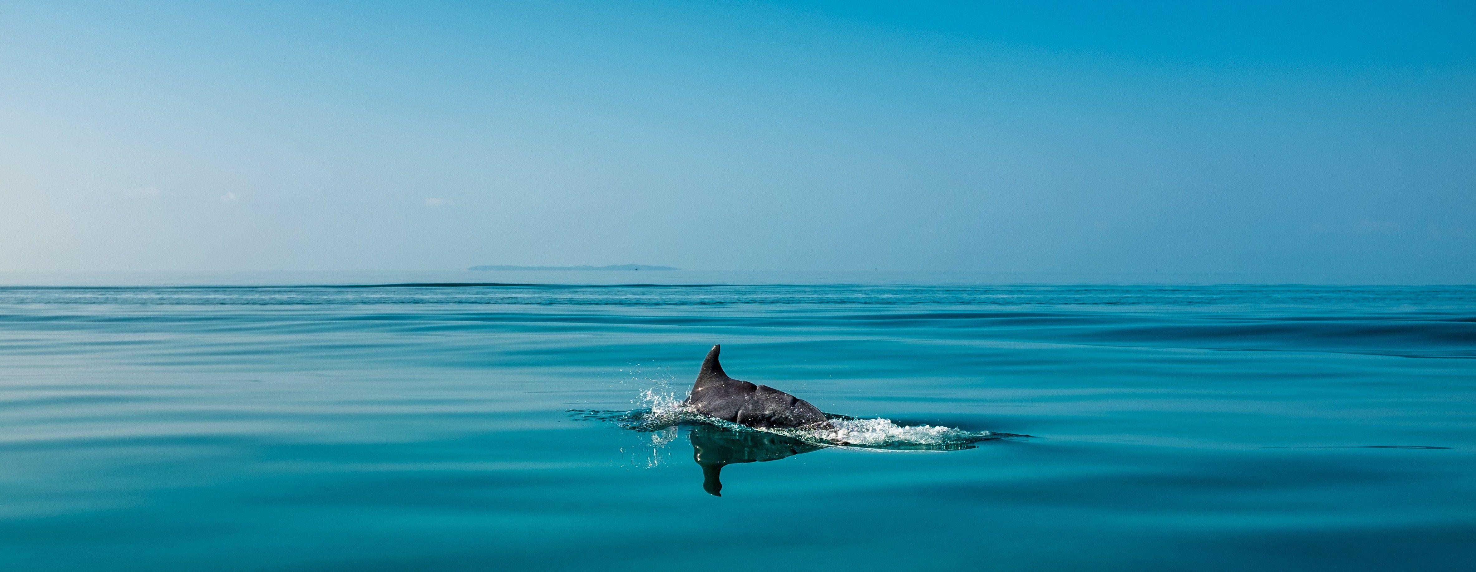 4734x1837 Mozambique 4K wallpaper for your desktop or mobile screen free and easy to download
