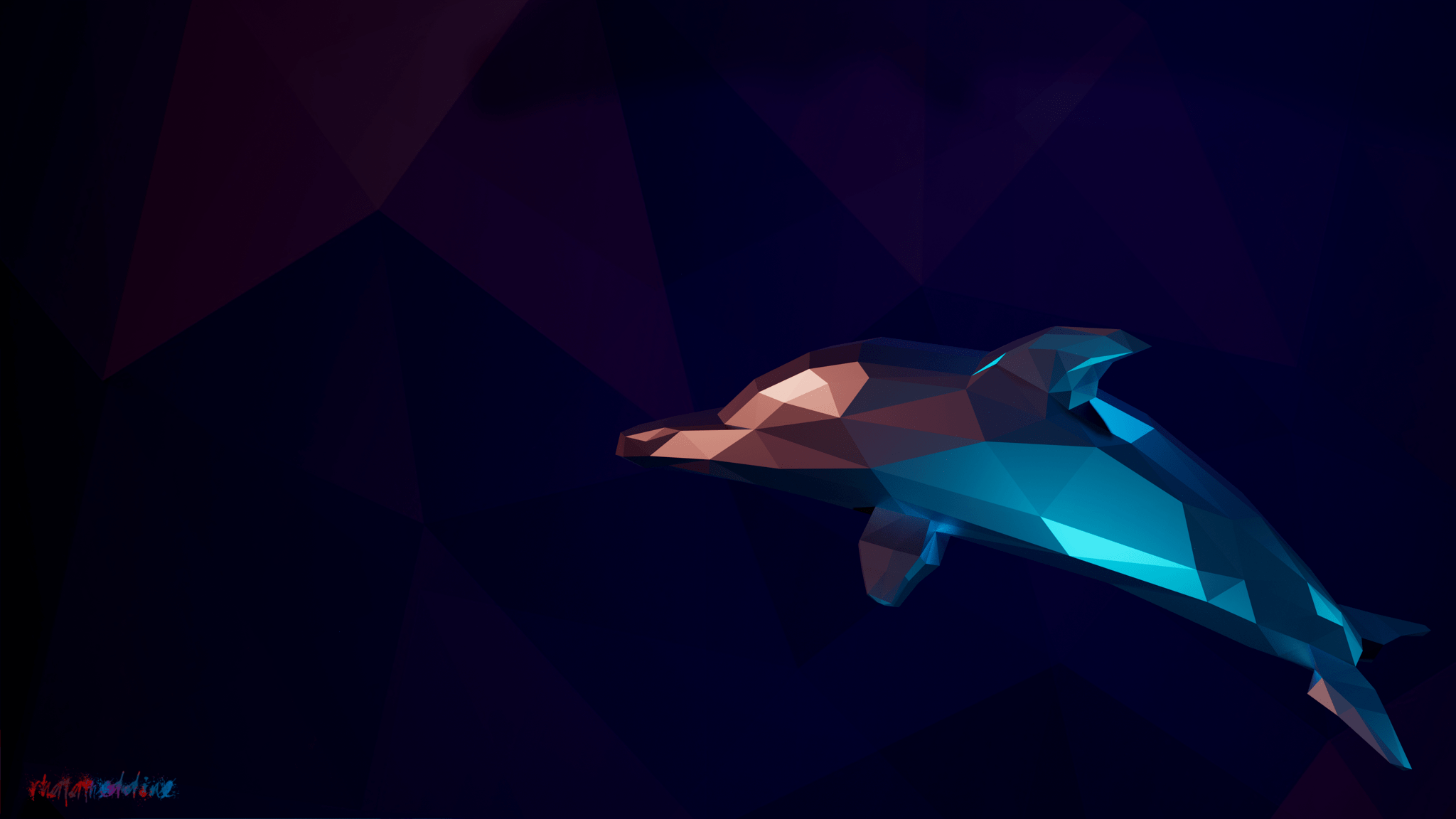 2048x1152 4K dolphin wallpaper