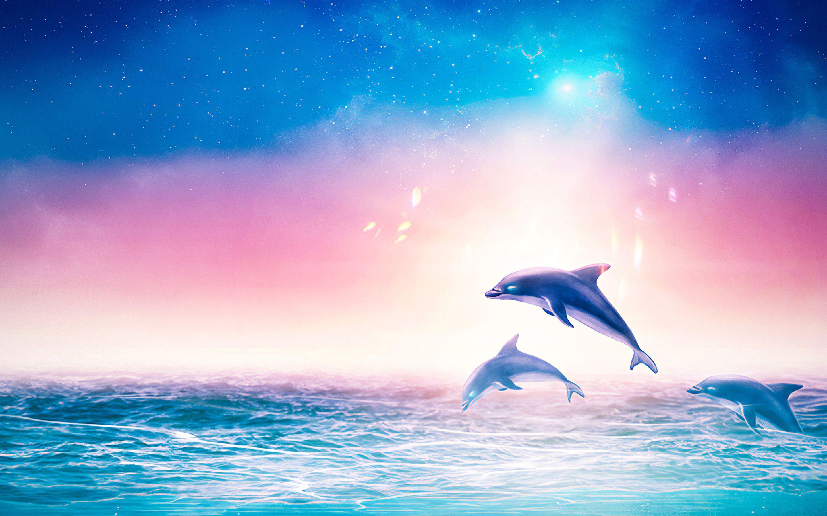Beautiful Dolphins Wallpaper
