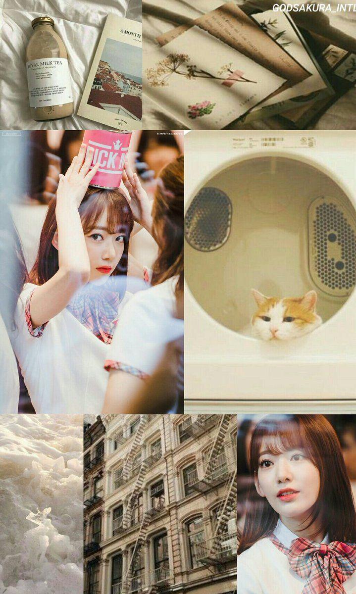 719x1200 God Sakura✨/ H