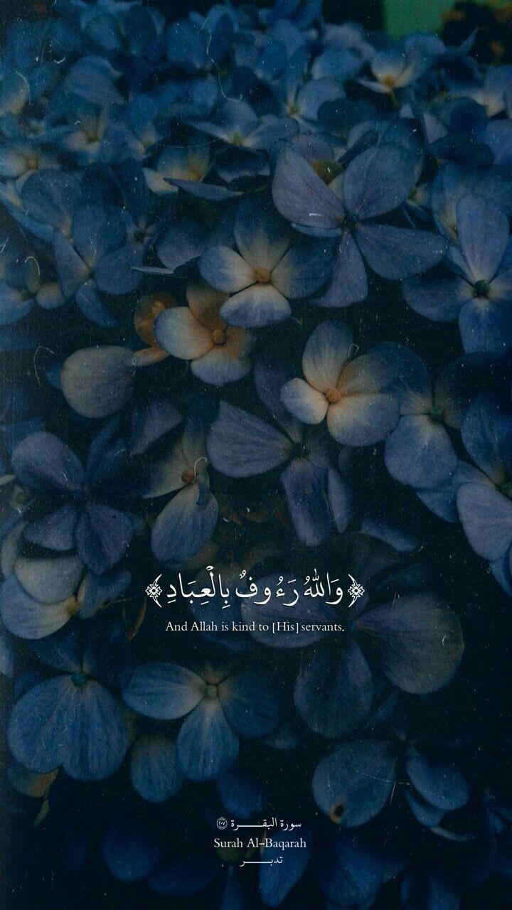 Alhamdulillah Wallpapers Top Free Alhamdulillah Backgrounds 