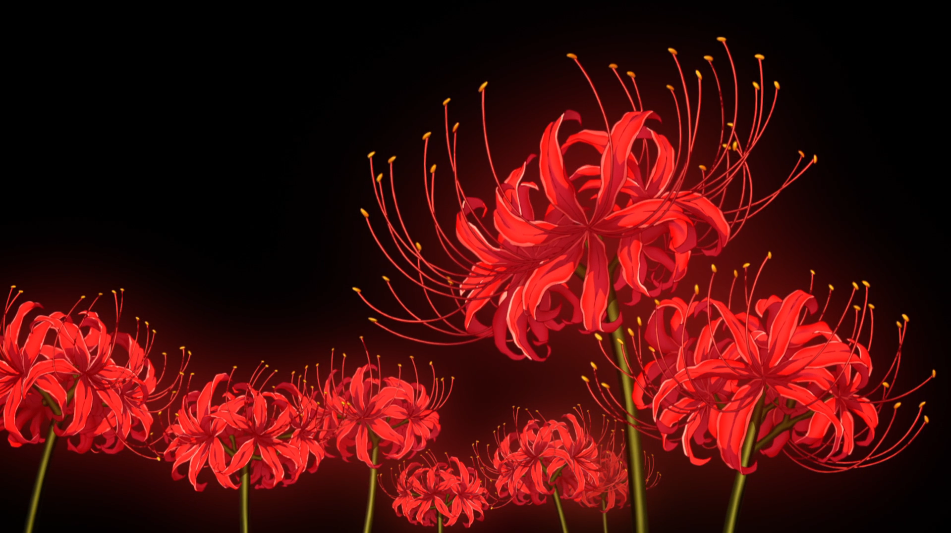 1919x1077 Red Spider Lily Anime Wallpaper