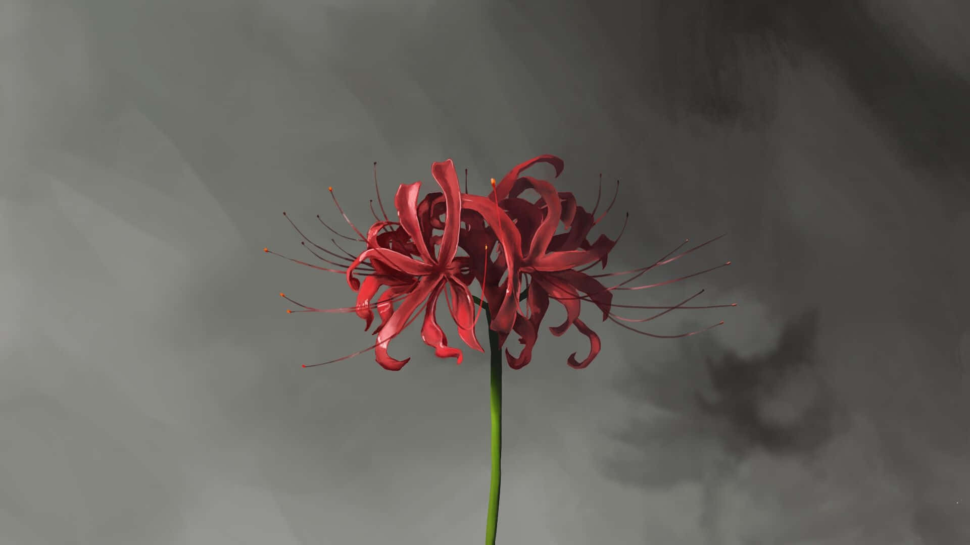 1920x1080 Tokyo Ghoul Flower Wallpaper