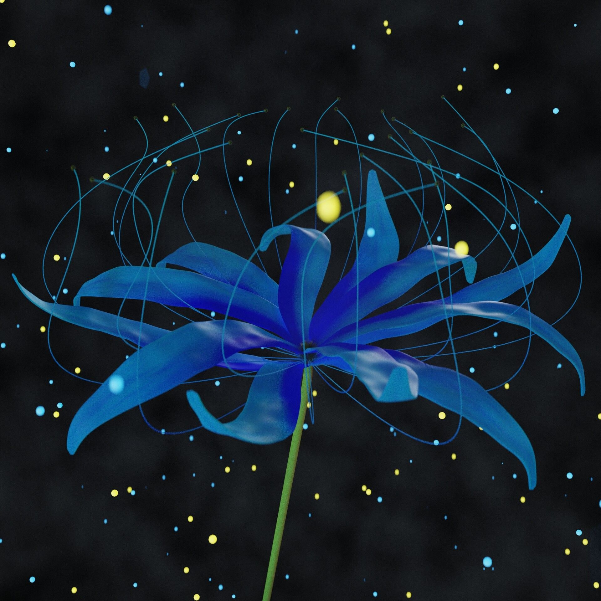 1920x1920 Blue Spider Lily
