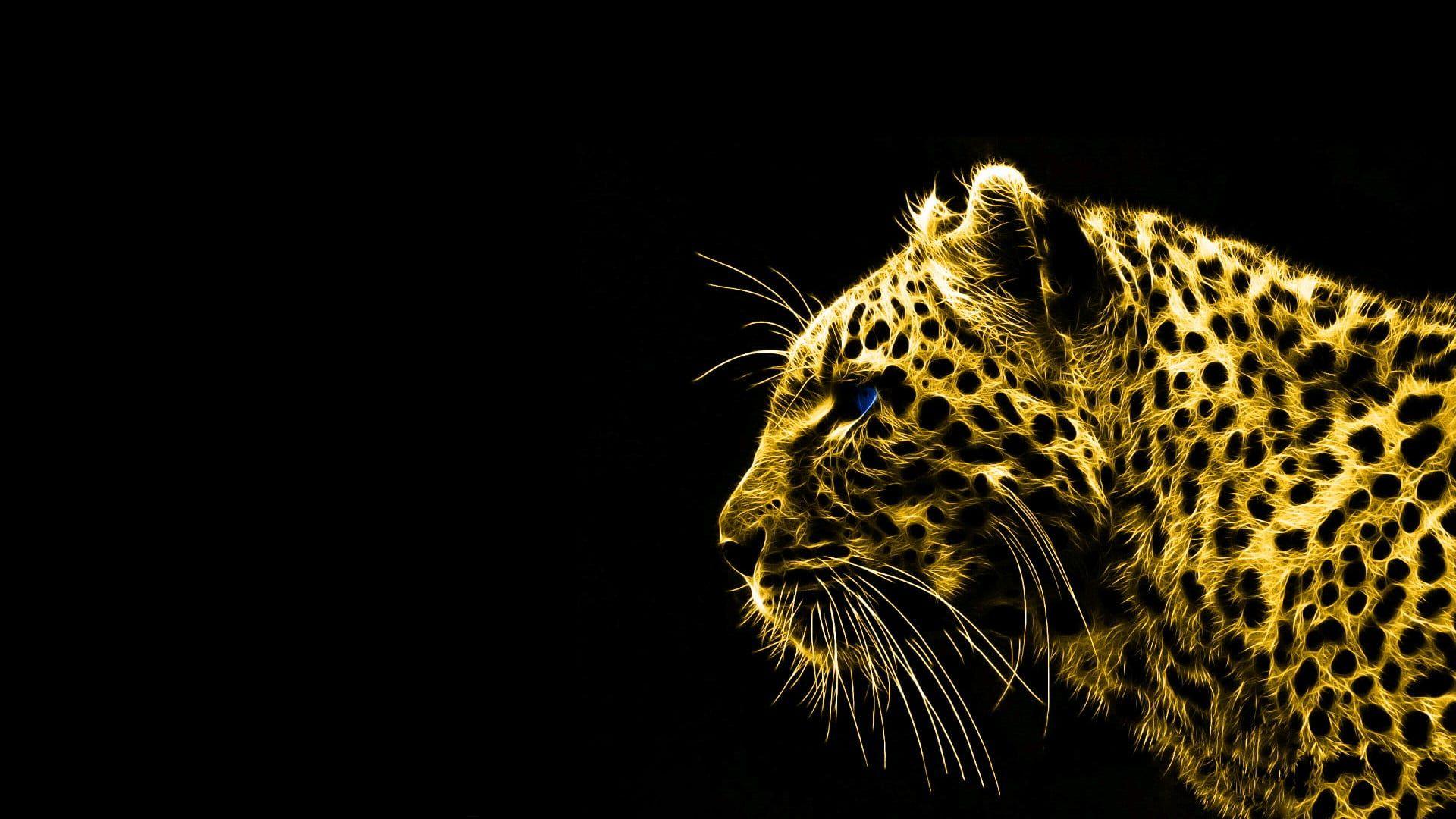 Black Cheetah Wallpapers - Top Free Black Cheetah Backgrounds