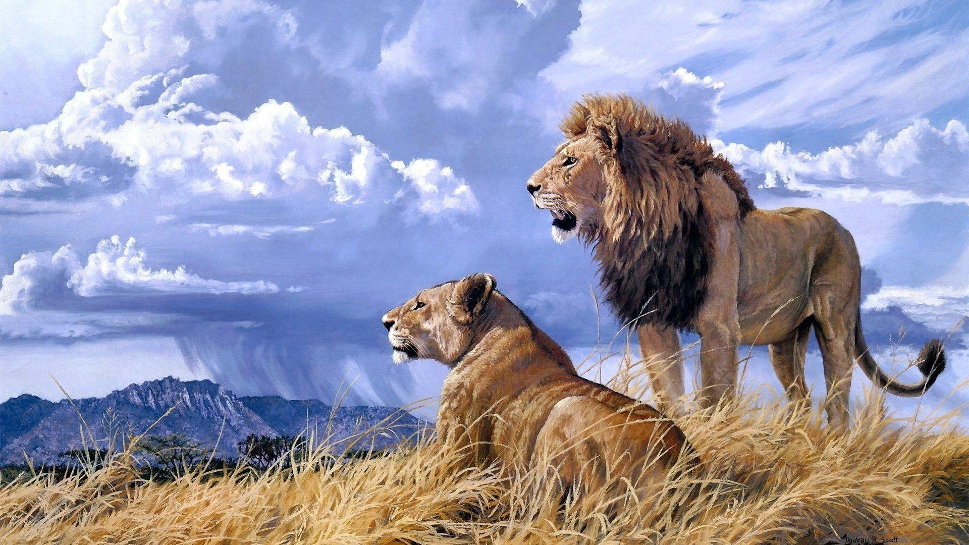 1920x1080 Cats: Animals Africa Sky Grass Wildlife Clouds Couple Weather Nature