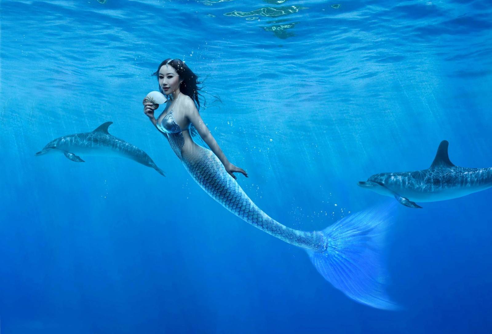 Real Mermaid Wallpapers - Top Free Real Mermaid Backgrounds ...