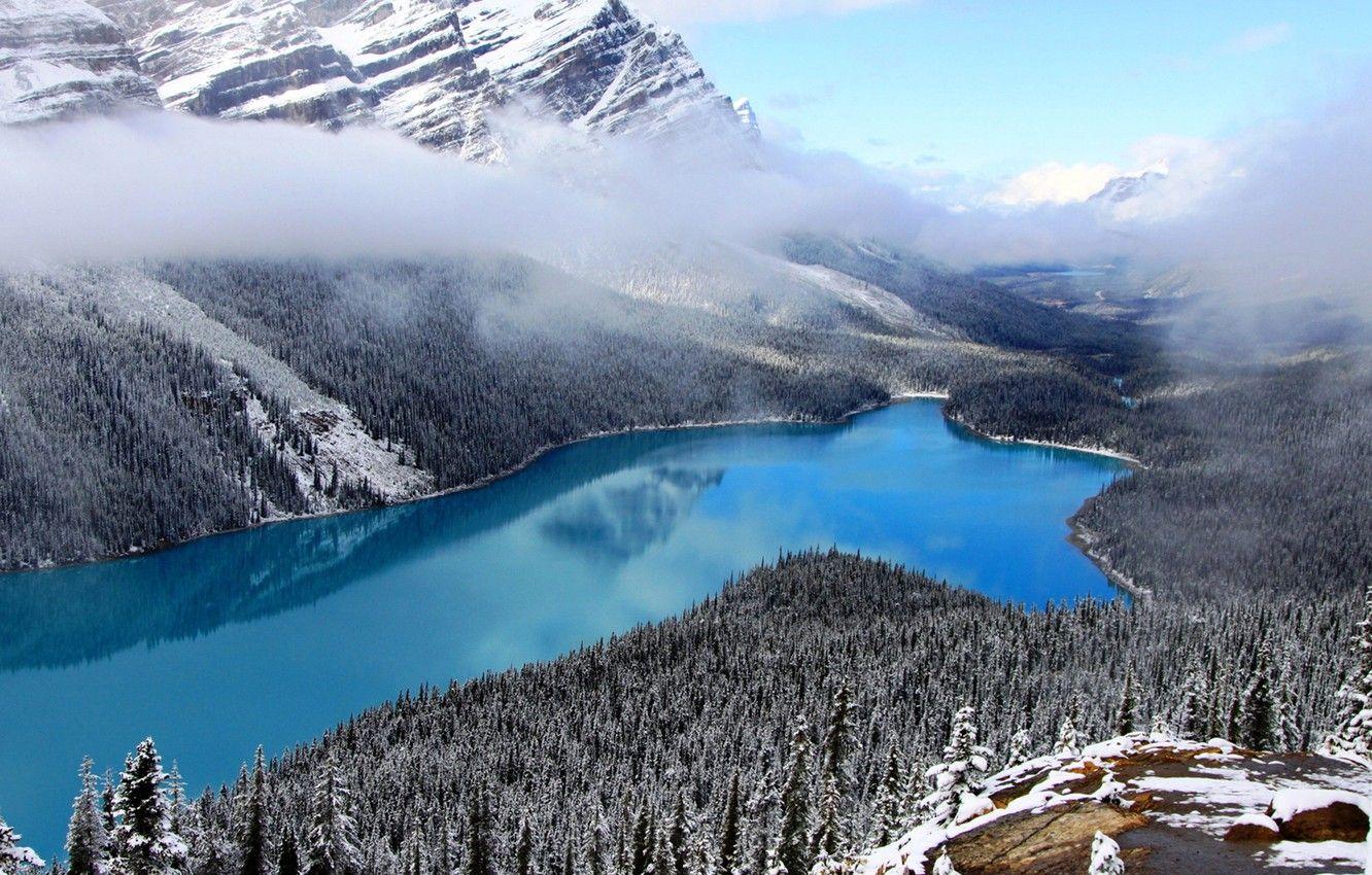 1332x850 Wallpaper forest, sky, National Geographic, trees, mountains