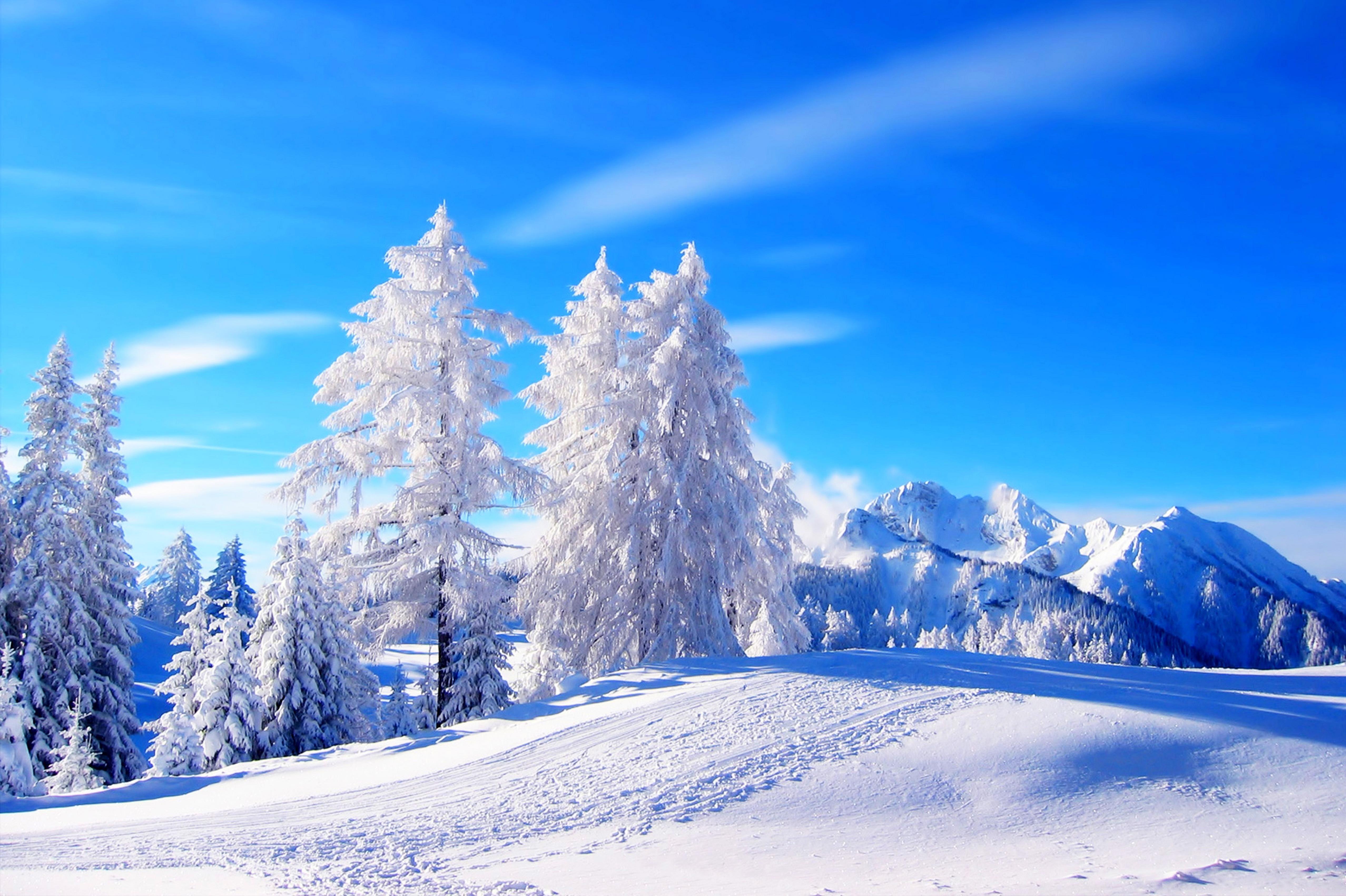 National Geographic Winter Wallpapers - Top Free National Geographic Winter Backgrounds 