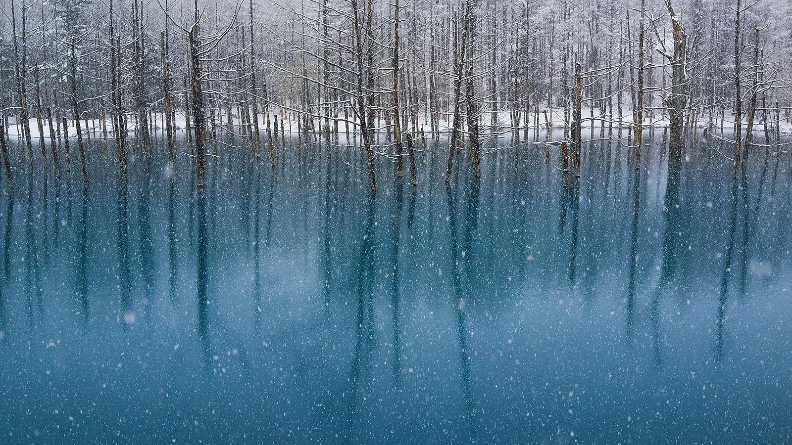 1600x900 Free download Winter Scenes for Desktop [1600x1200]