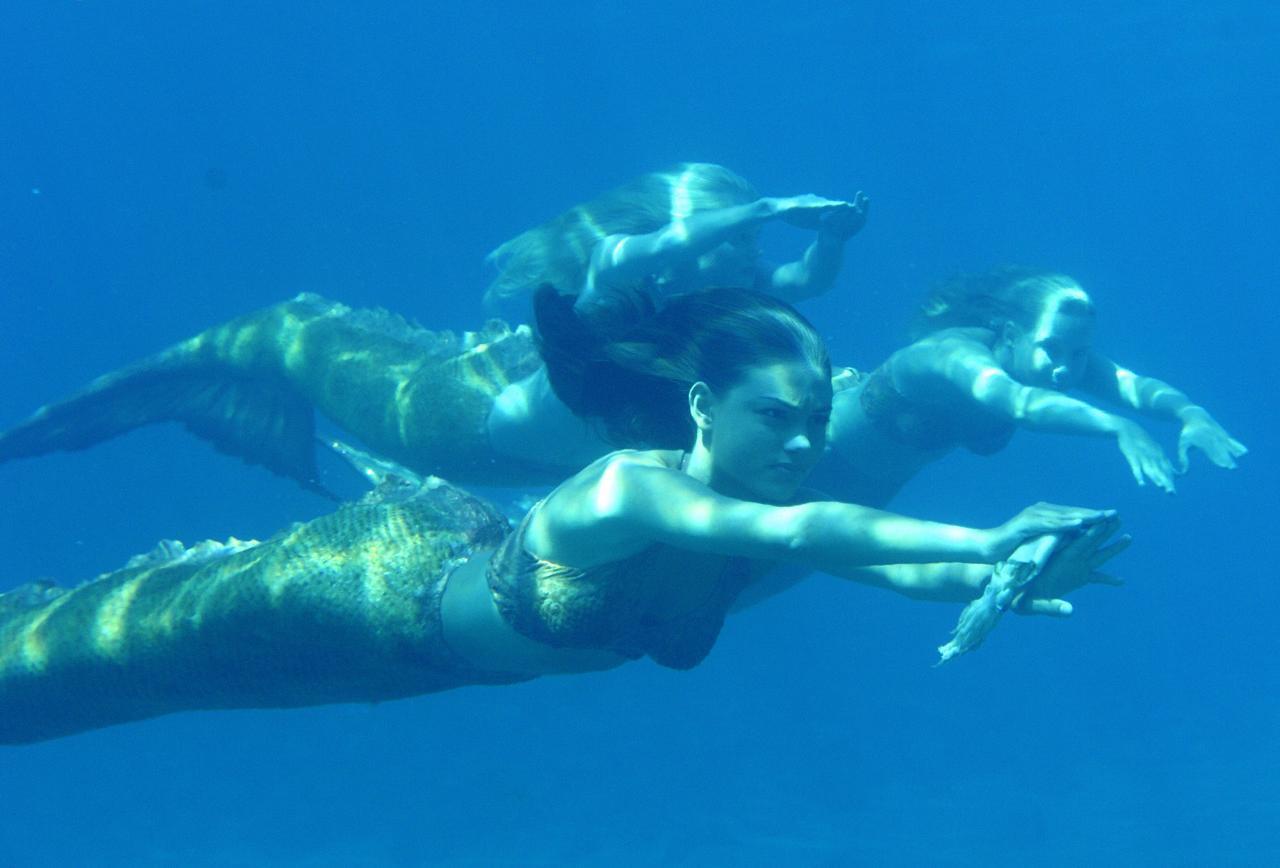 1280x868 Mermaids the Body Found Wallpaper