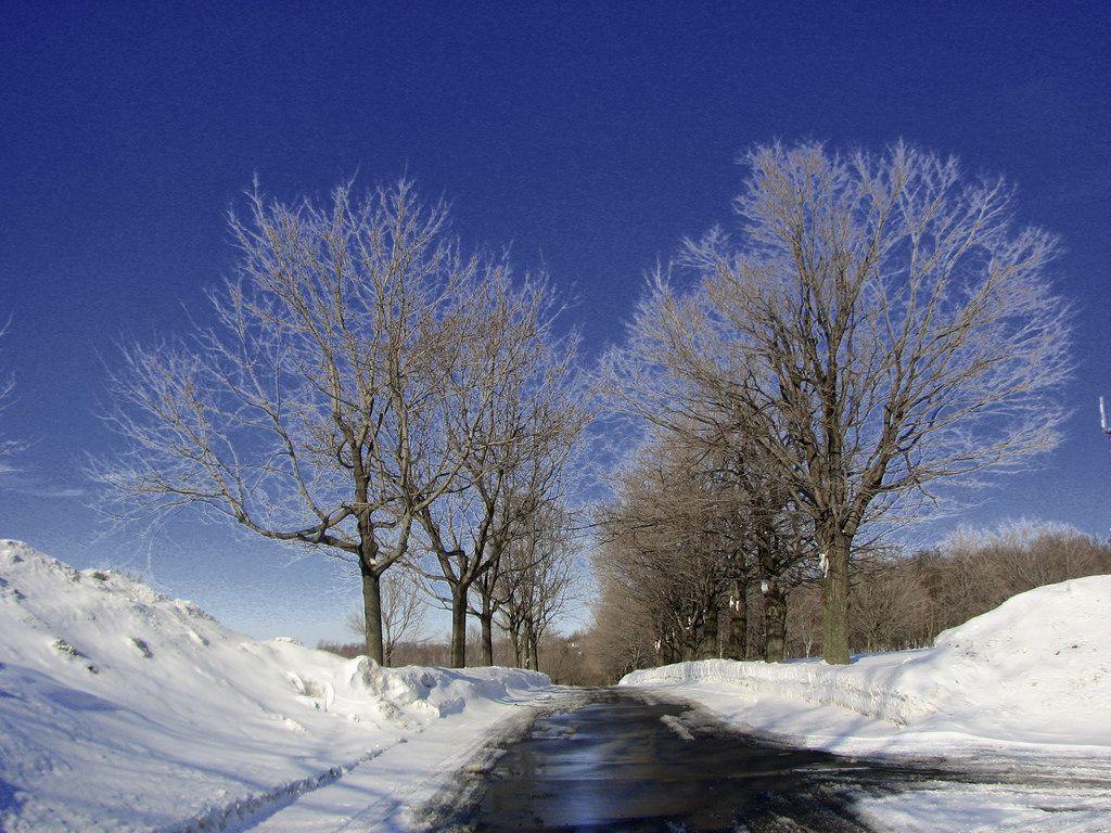 1024x768 national geographic wallpaper winter scenes