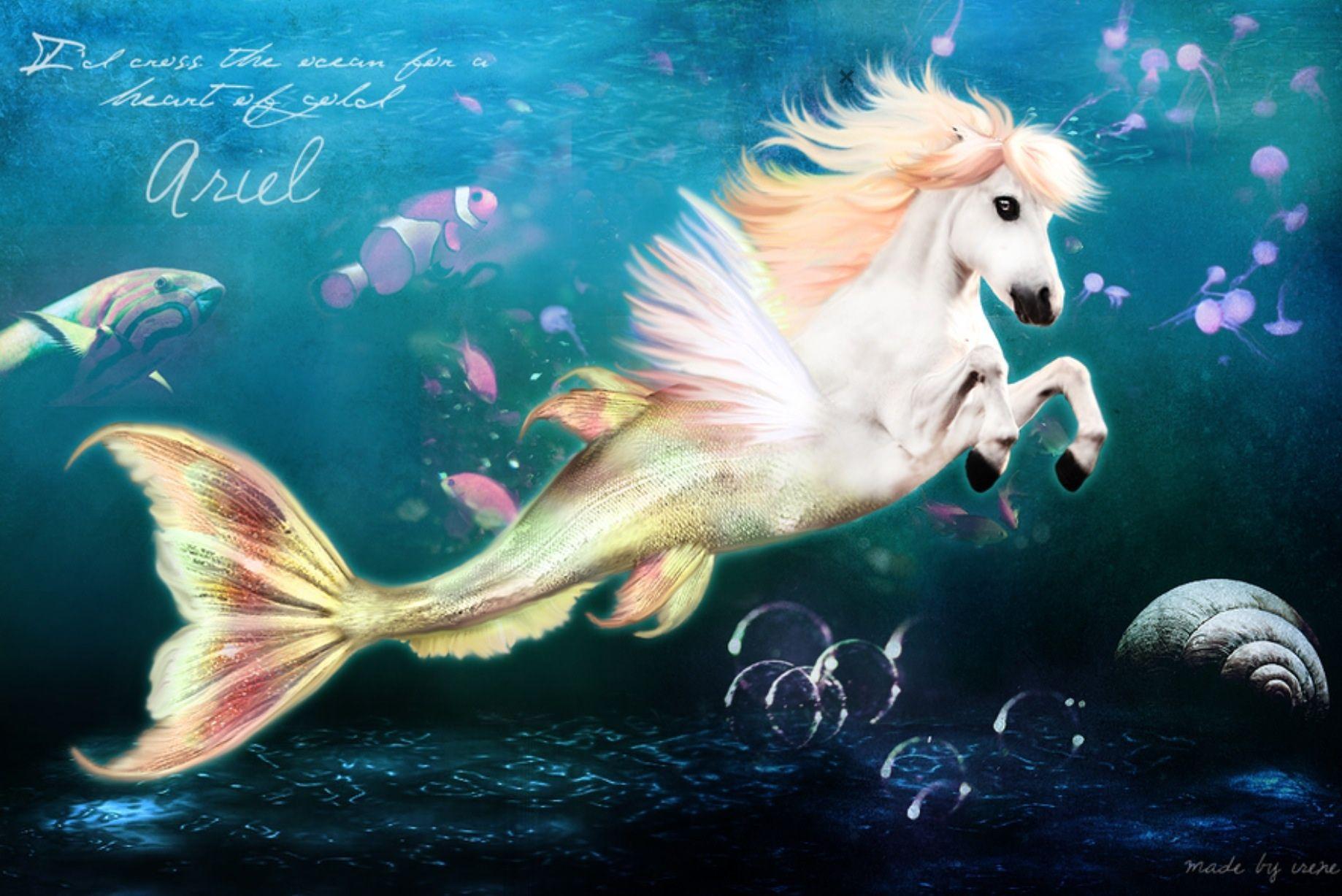 1838x1227 Ariel Mermaids Pegasus # 1838x1227. All For Desktop