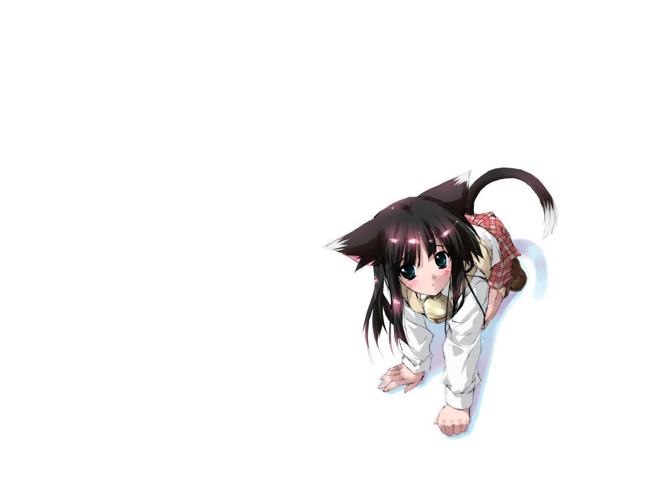 1280x960 Nekomimi Wallpaperx960