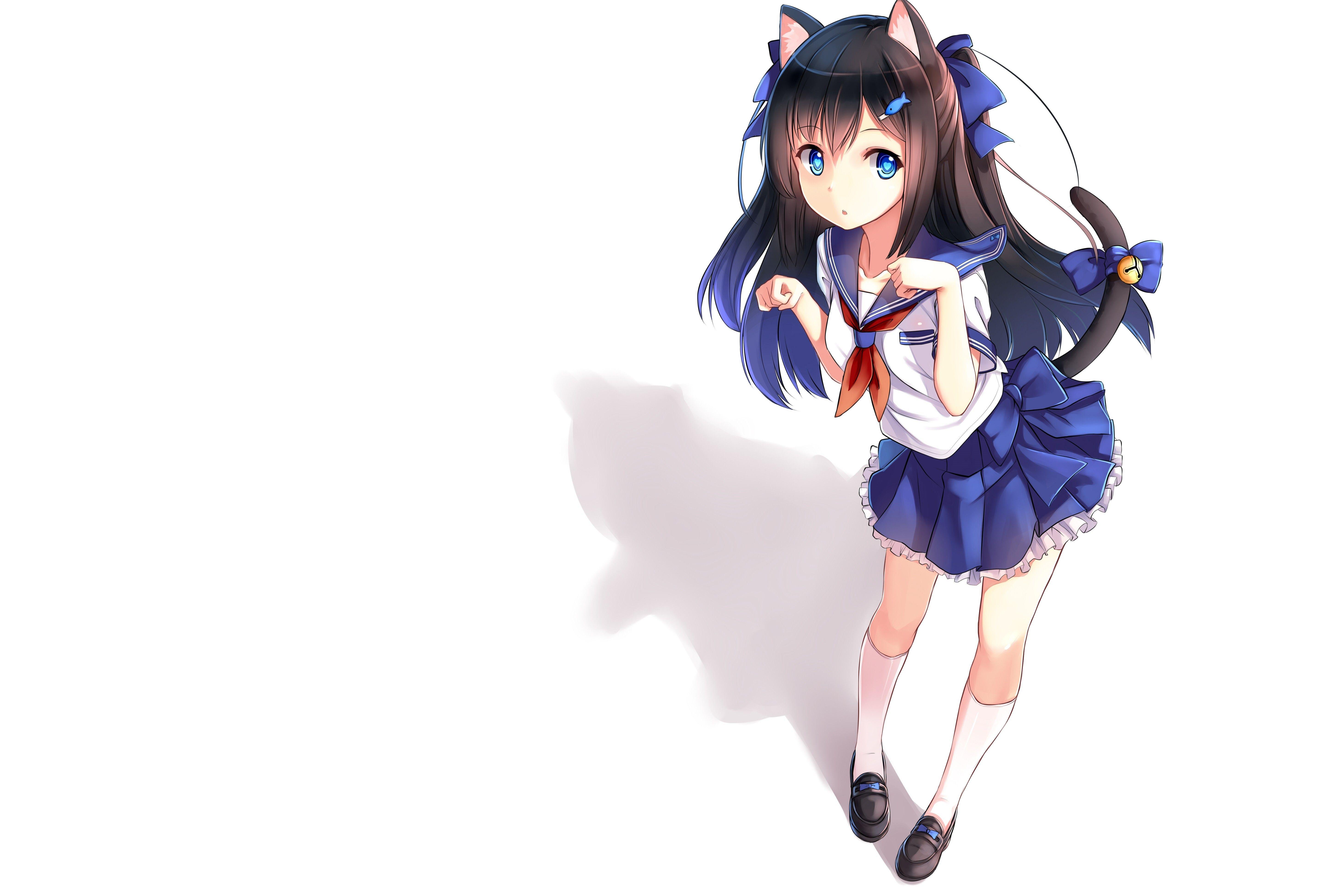 5826x3897 #cat girl, #anime girls, #nekomimi wallpaper. Anime