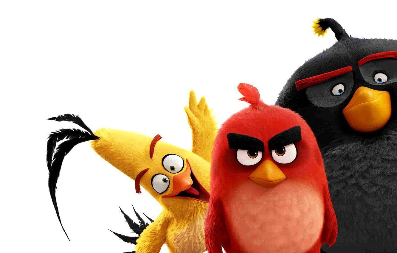 Angry Bird Chuck Wallpapers - Top Free Angry Bird Chuck Backgrounds ...