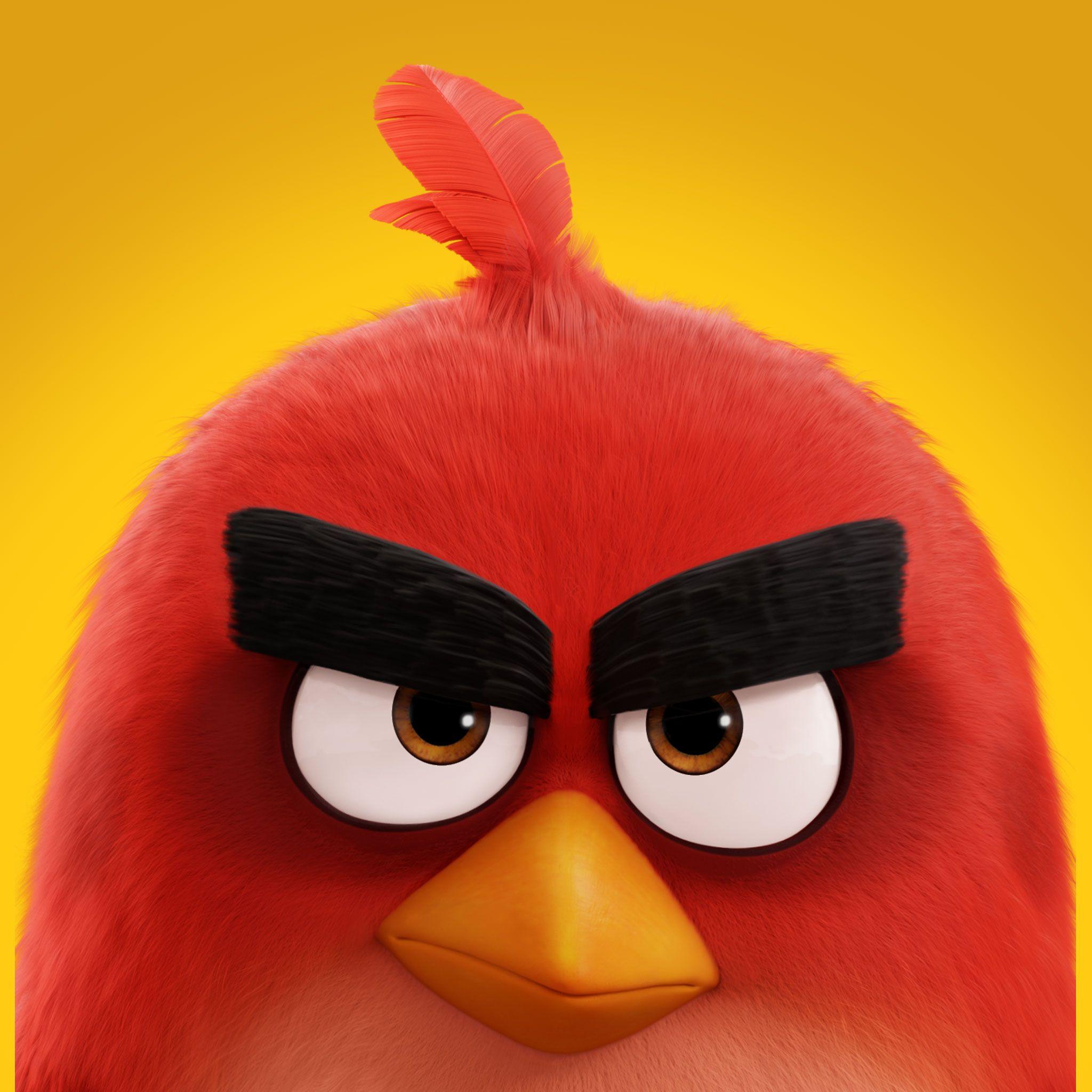 angry birds hd