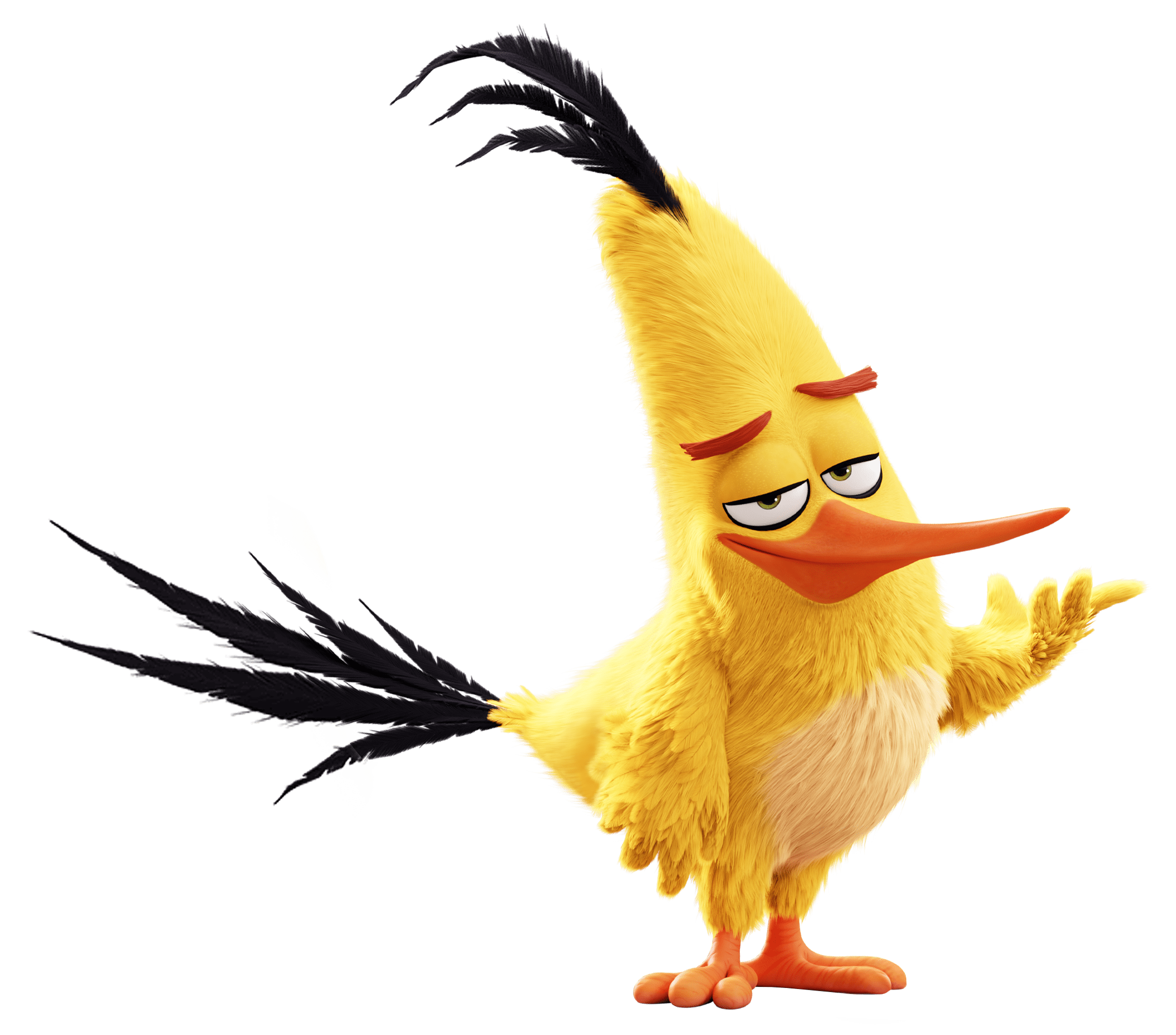 Angry Bird Chuck Wallpapers Top Free Angry Bird Chuck Backgrounds