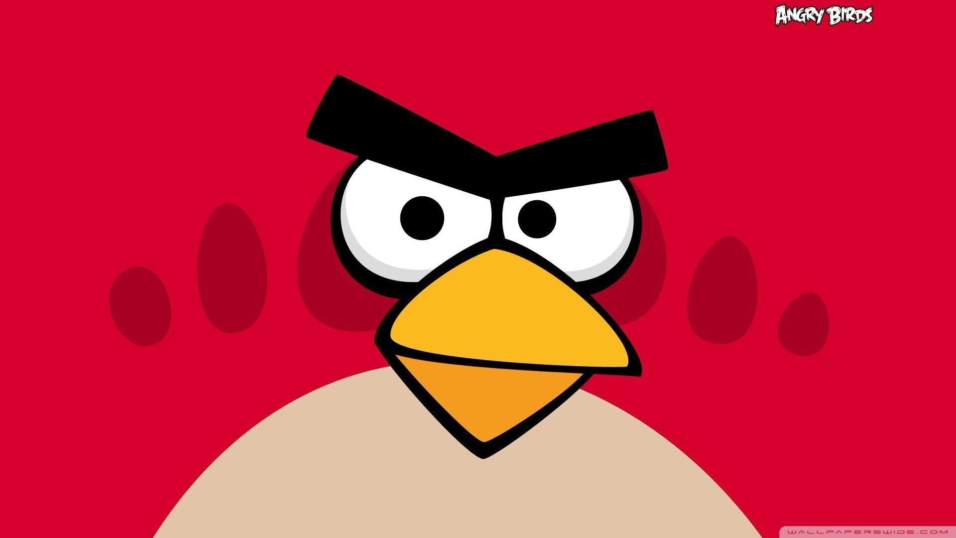 1920x1080 Angry Birds Bird Ultra HD Desktop Background Wallpaper