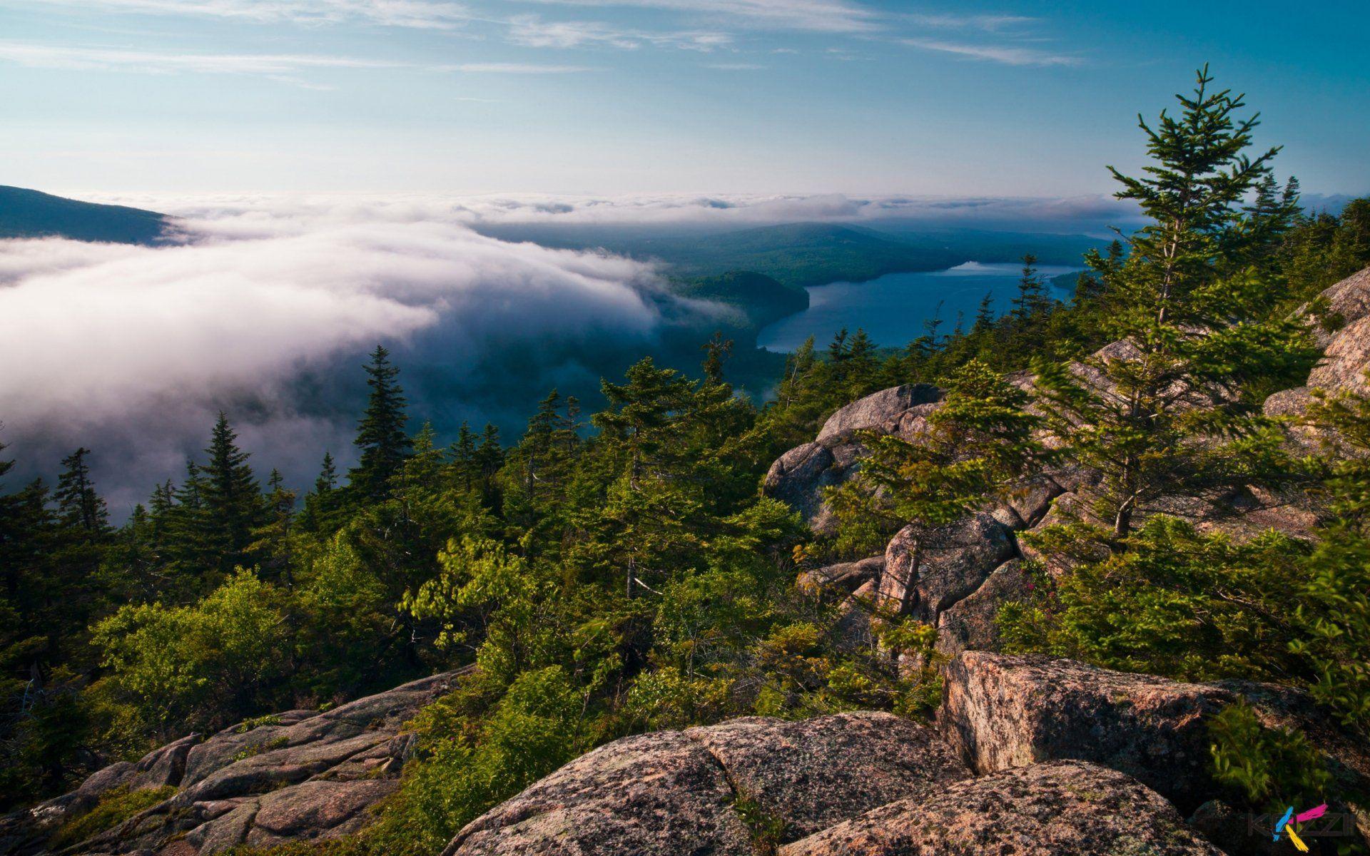 1920x1200 Wildlife Mountain Natures