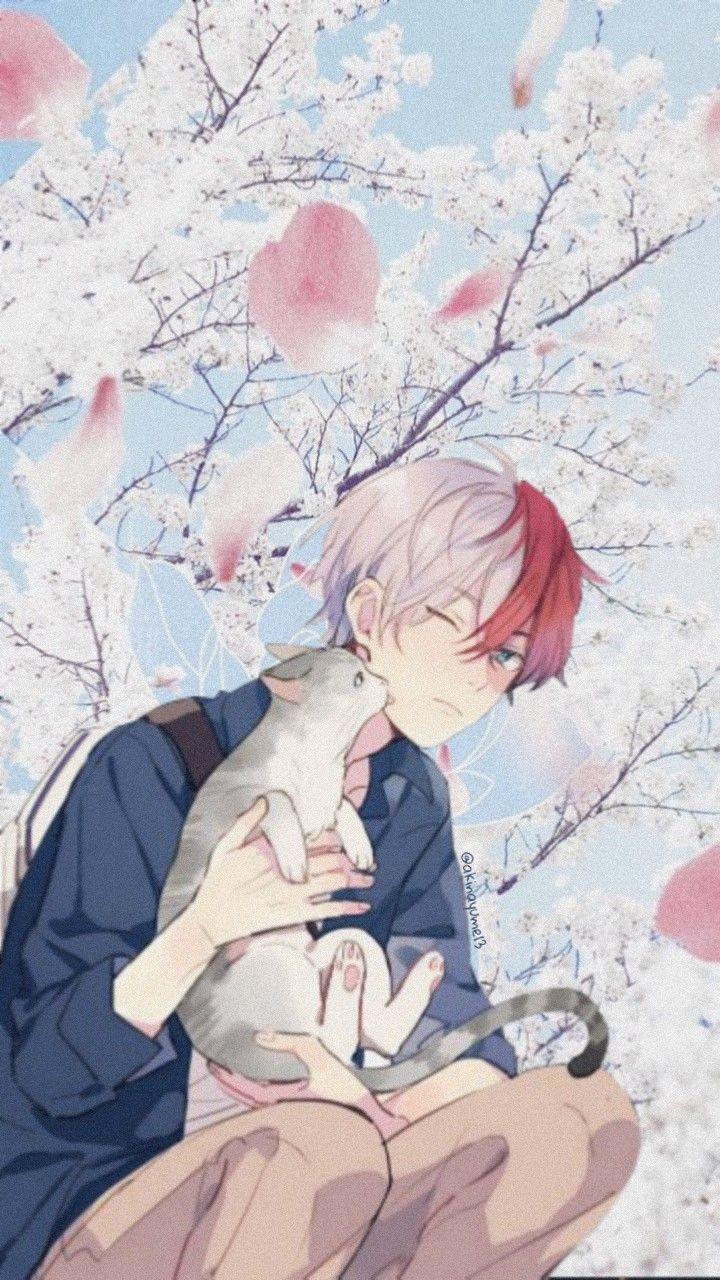 720x1280 bokunoheroacademia #bnha #myheroacademia #todorokishouto #todoroki