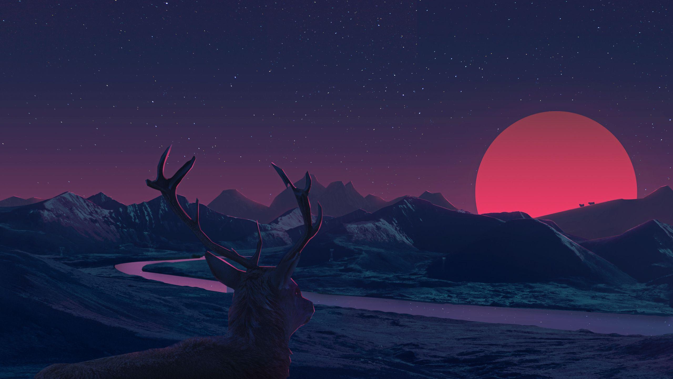 2560x1440 Deer Staring At Sunset Anime 1440P Resolution Wallpaper