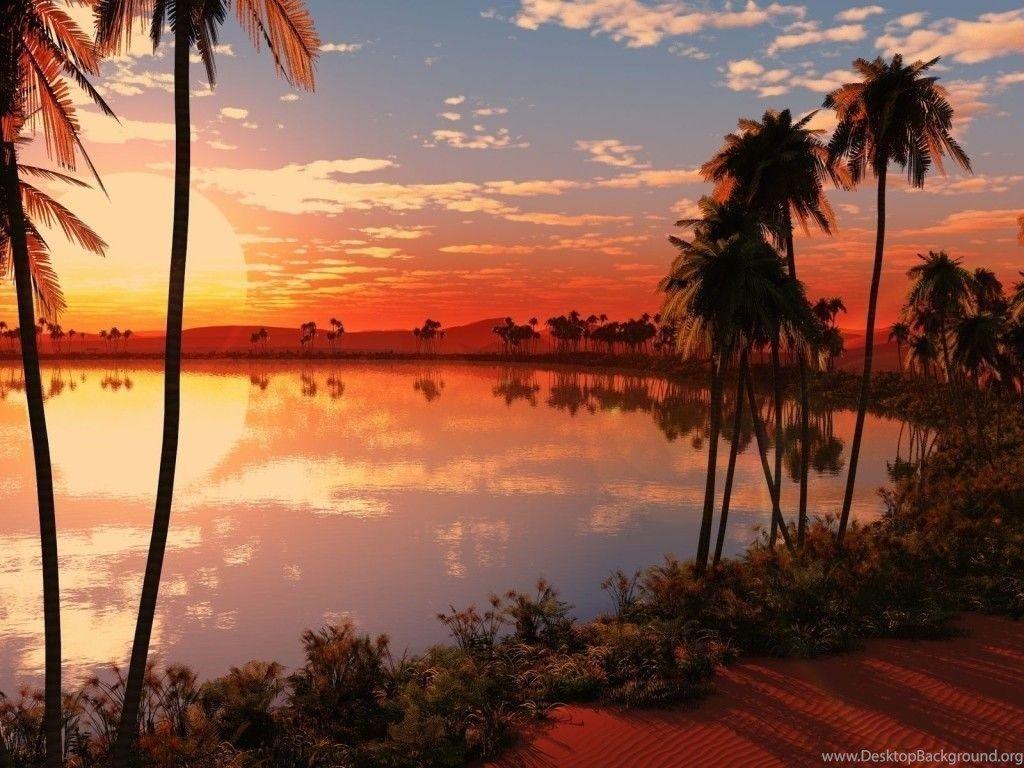 1024x768 Free Desktop Wallpaper Background, Wallpaper, Free Nadu
