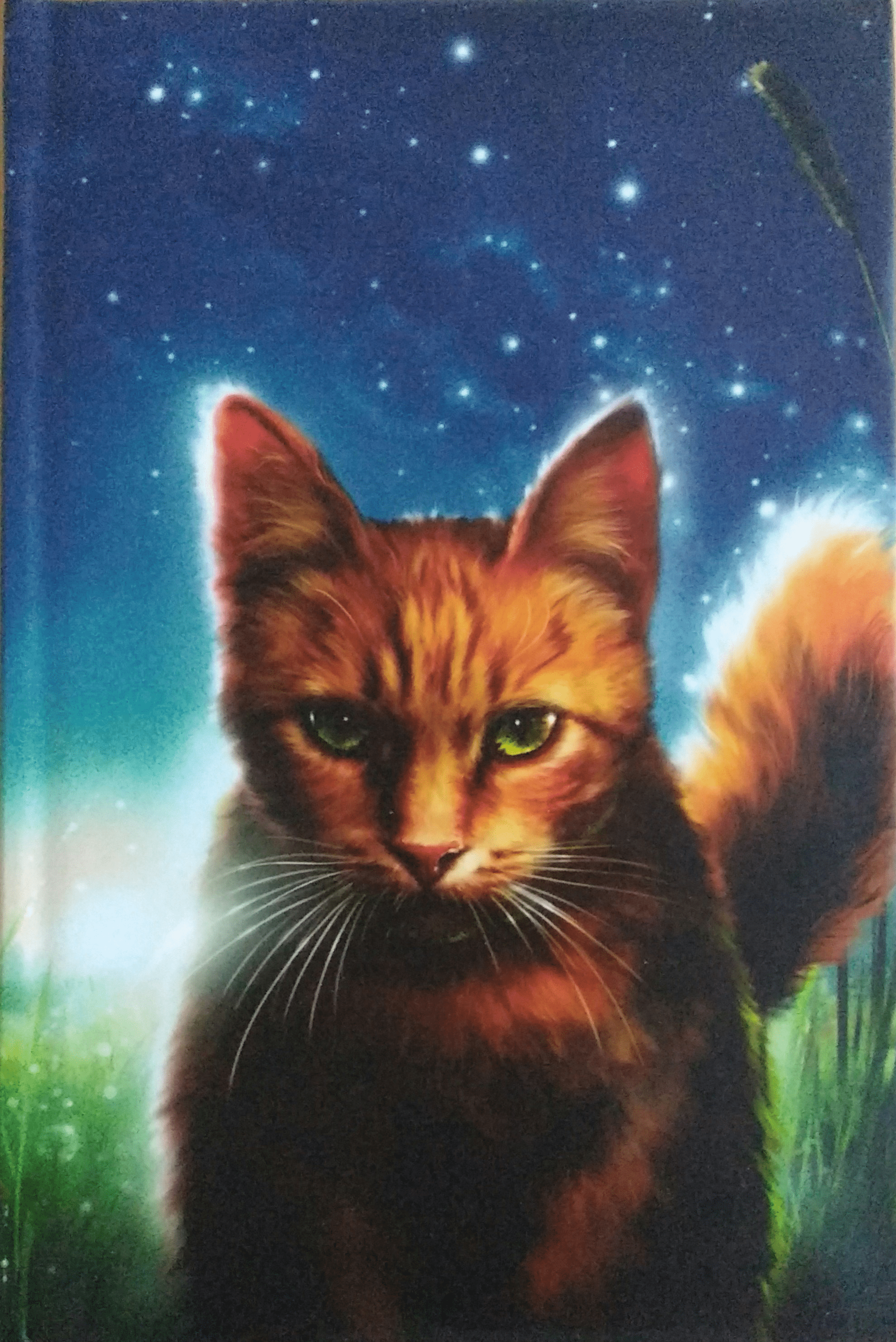 1979x2963 Squirrelflight Main Article
