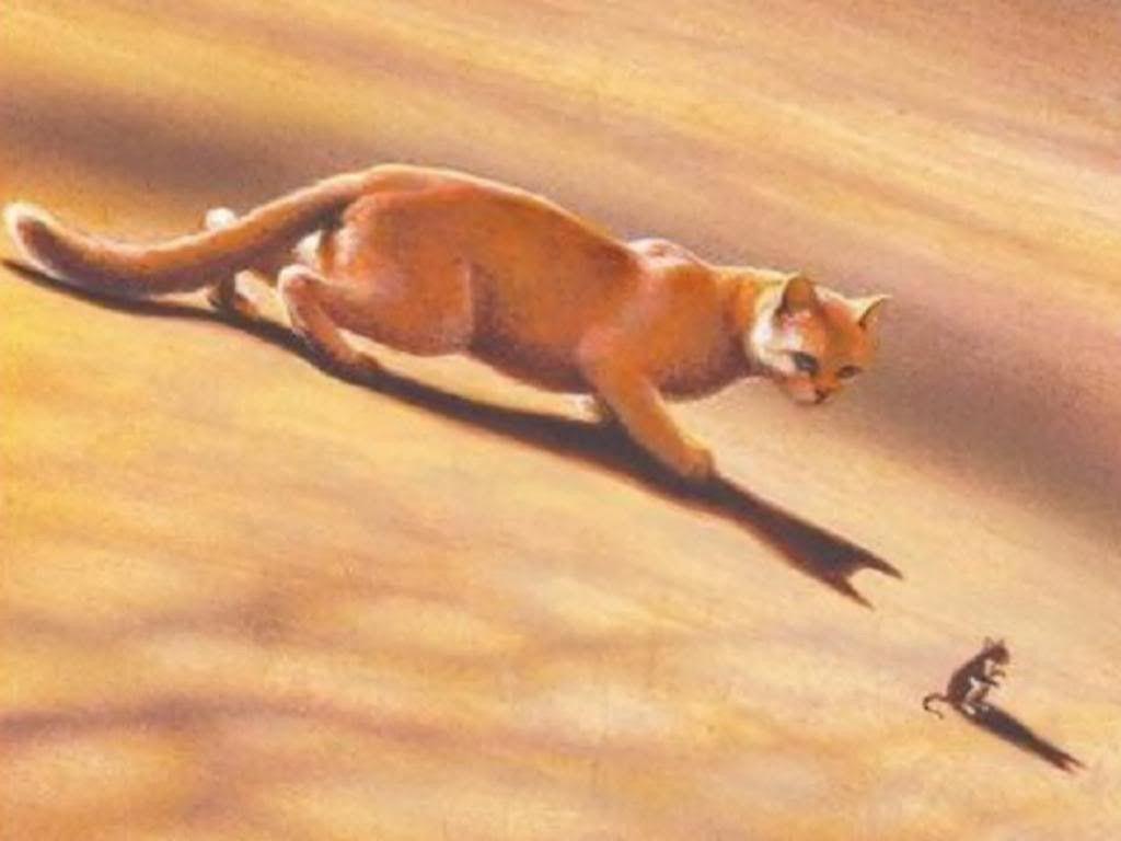 1024x768 Warrior Cats Firestar Wallpaper Desktop