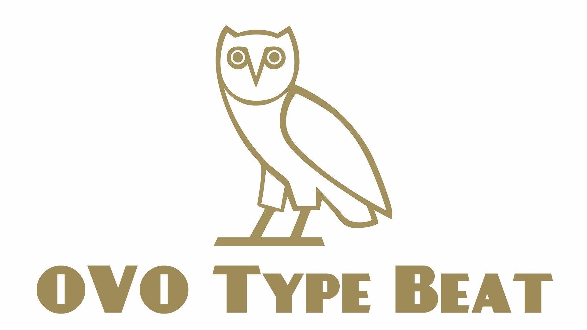 1920x1080 Ovo Owl