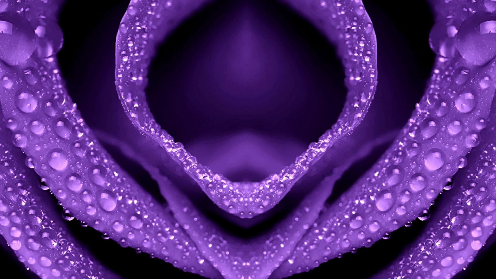 1920x1080 Flowers Purple 1080p Flower wallpaper Desktop, Phone, Tablet