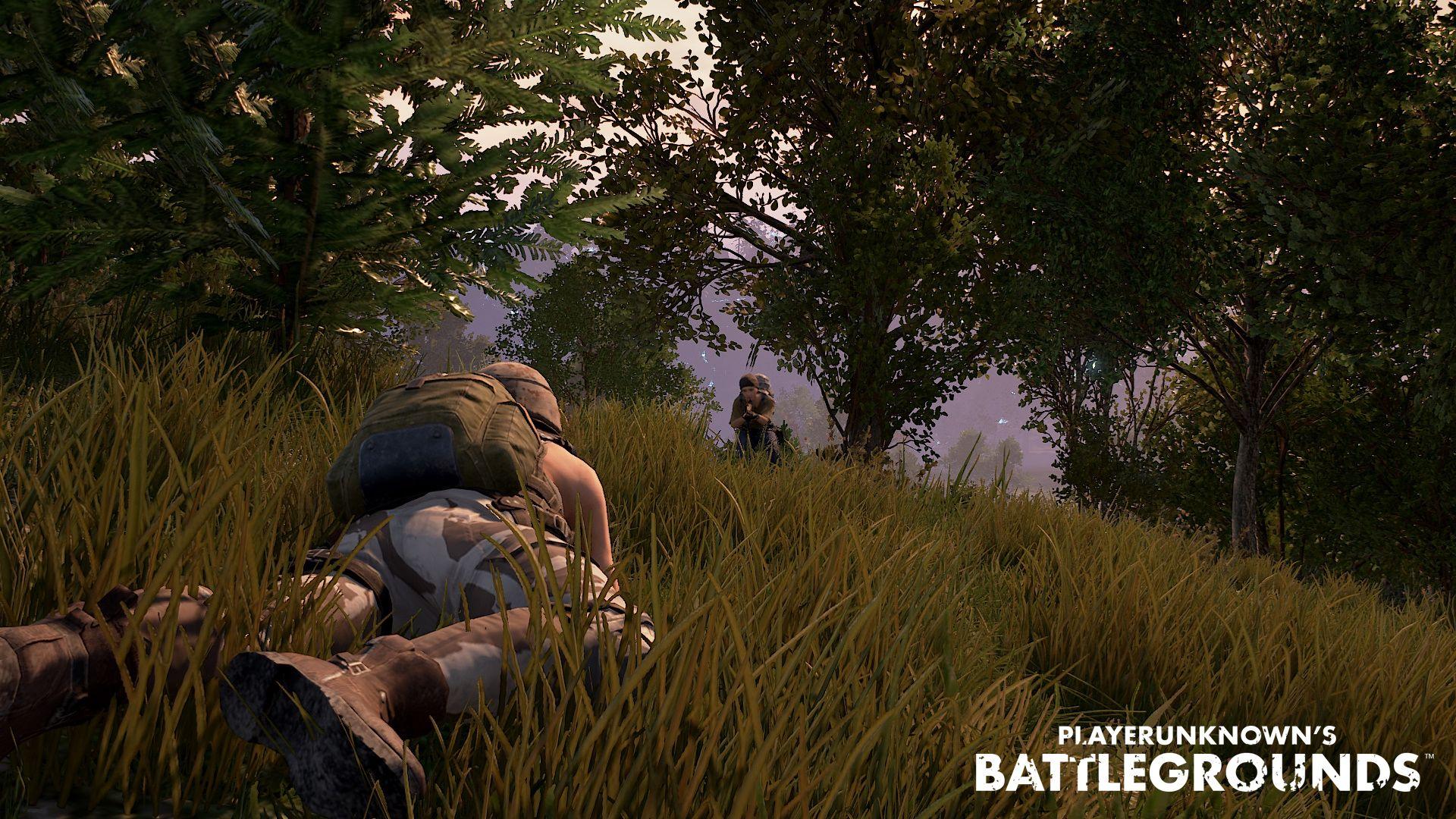 1920x1080 PUBG Wallpaper HD For Desktop Background Arts Ideas