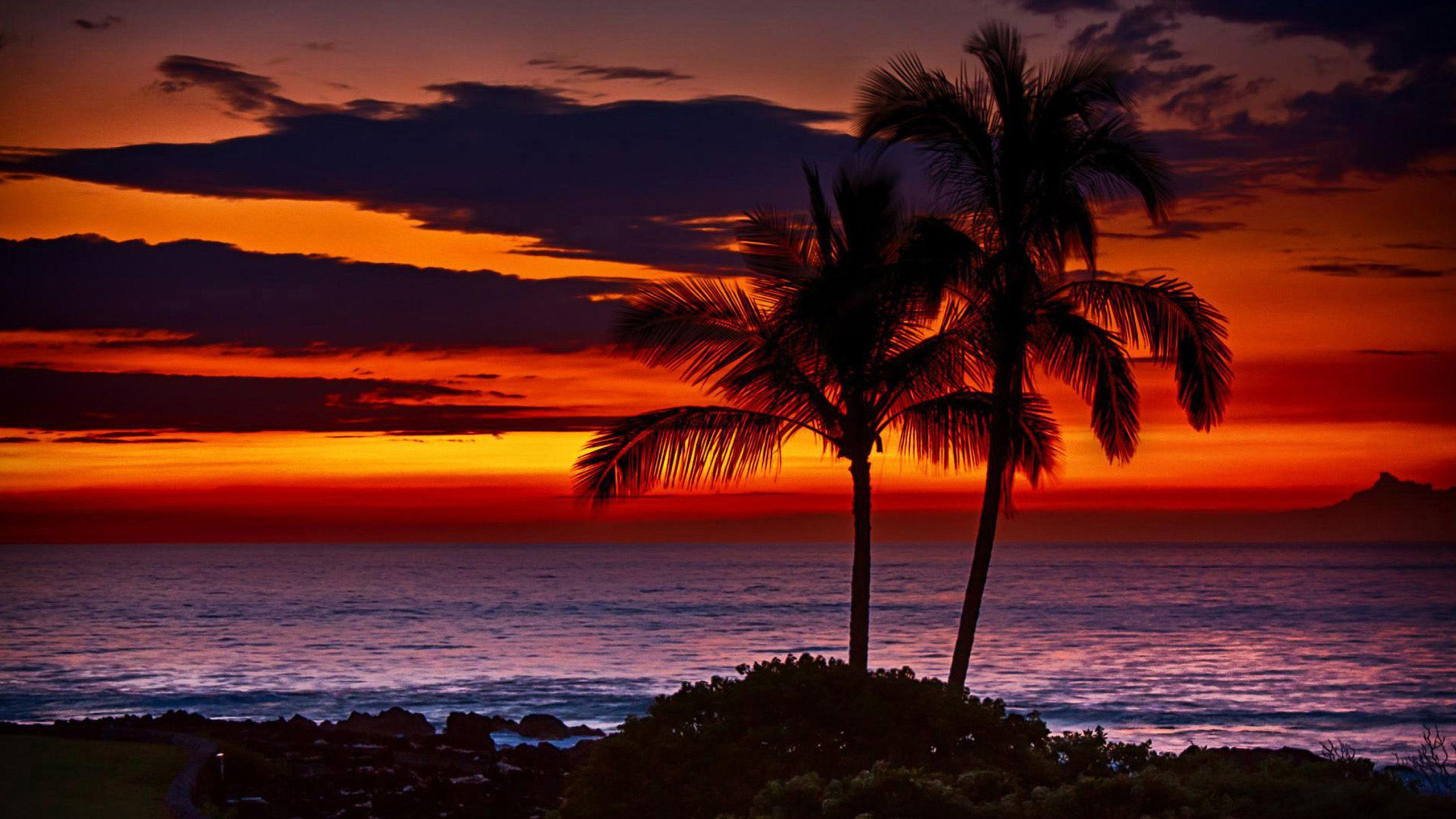 2560x1440 Free download Tropical Sunsets Wallpaper 36 Tropical Sunsets