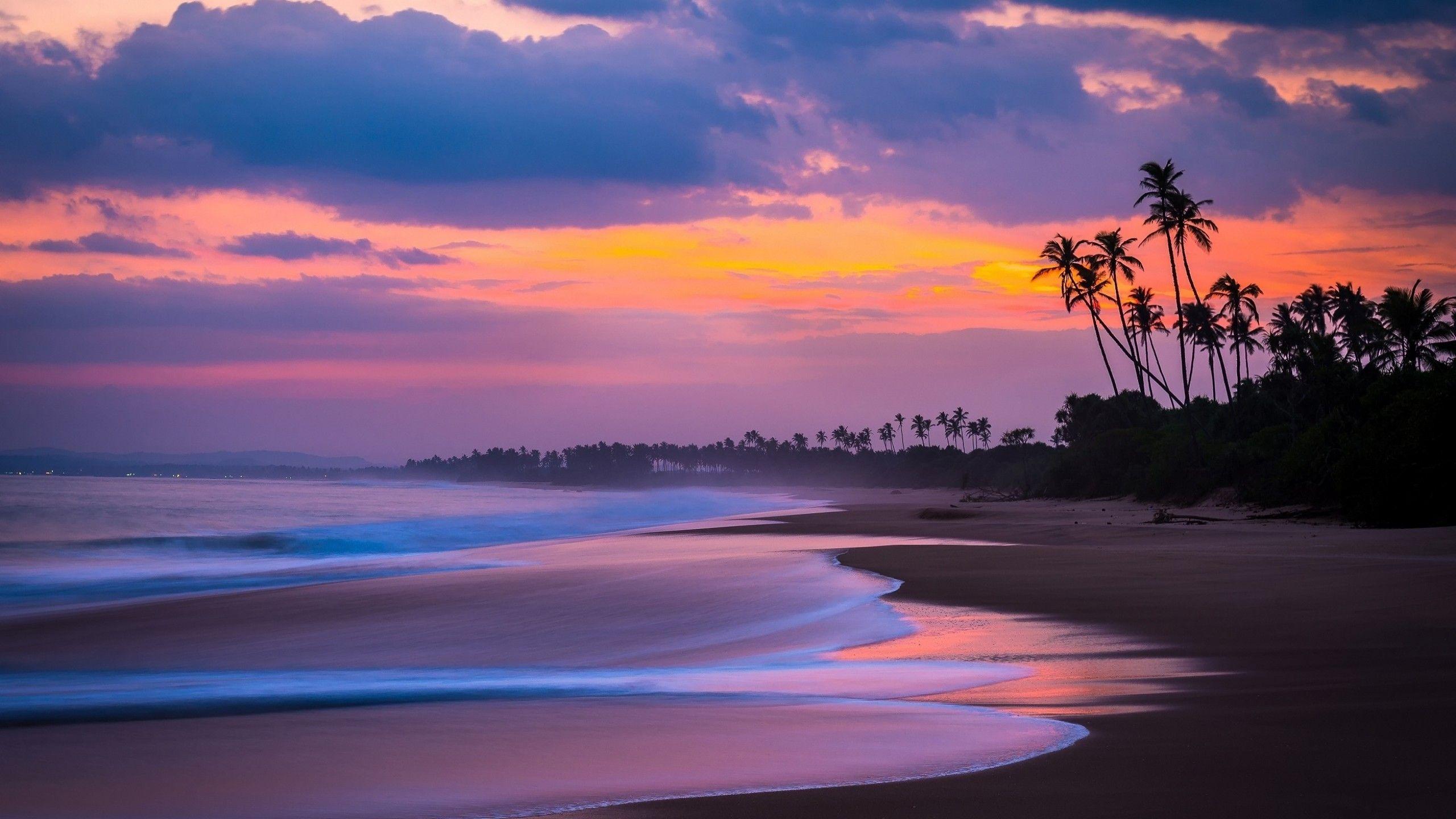 2560x1440 Download 2560x1440 Beach, Sunset, Waves, Clouds, Sky, Palms, Ocean