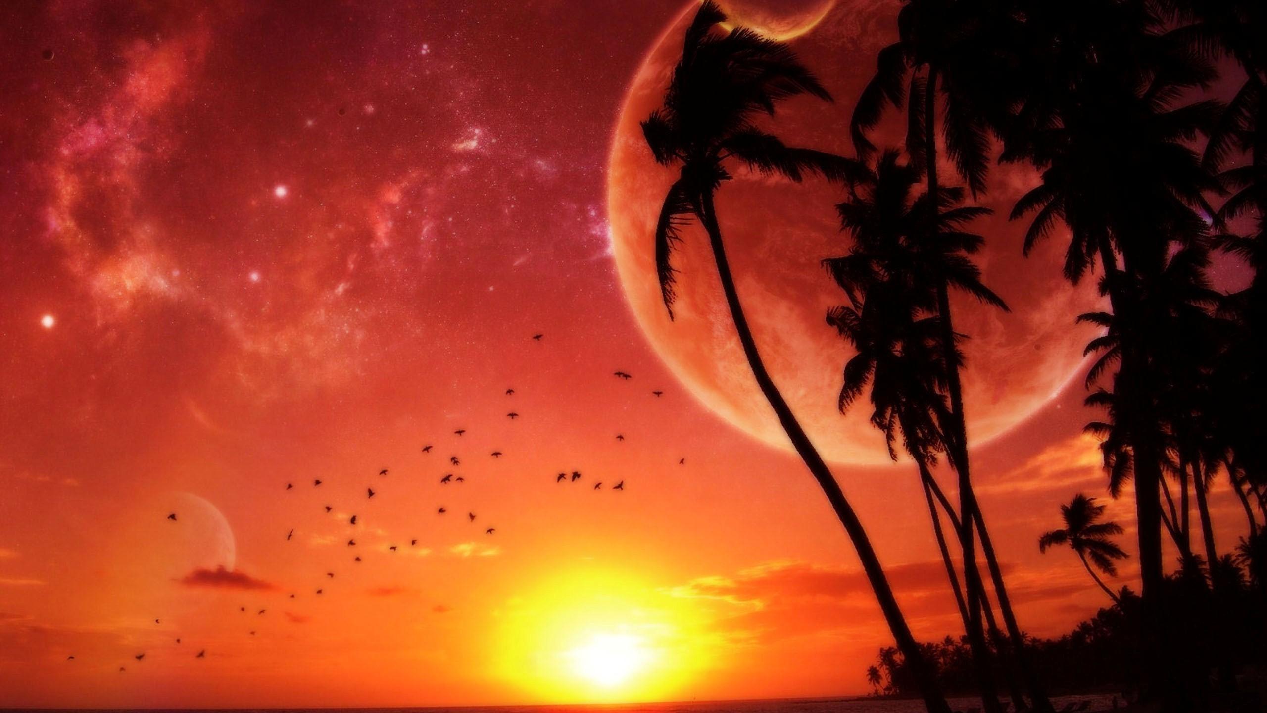 2560x1440 Free download tropical wallpaper sunset beach deskx1440