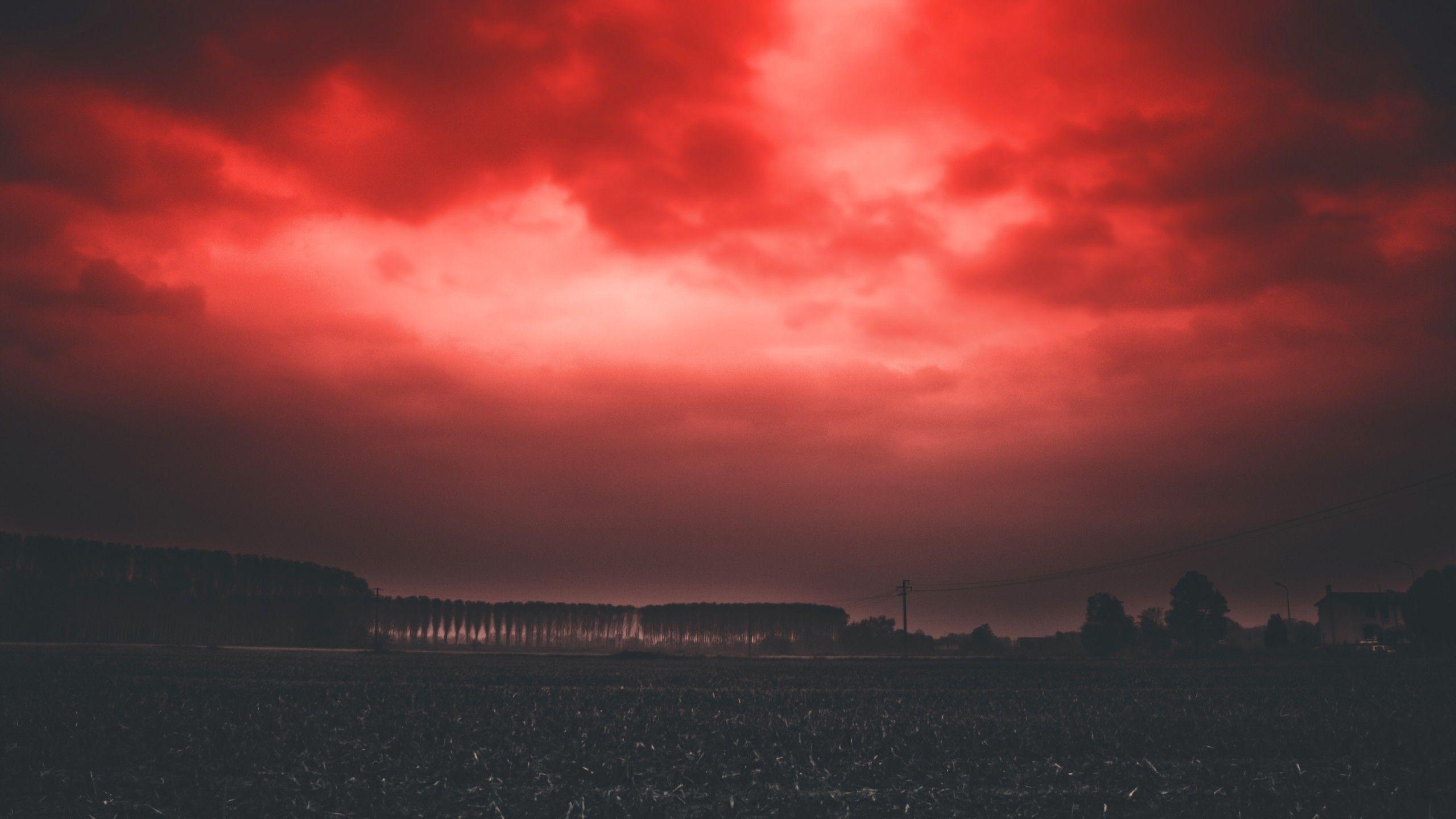 2560x1440 Download 2560x1440 Red Sky, Horizon, Scenic, Sunset Wallpaper