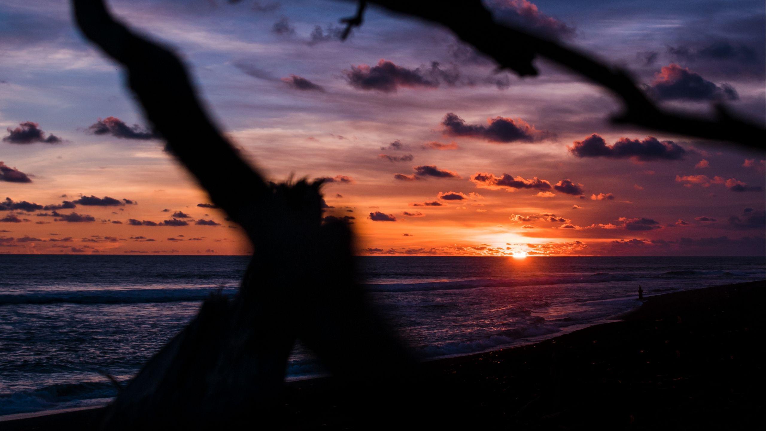 2560x1440 Download wallpaper 2560x1440 sunset, shore, clouds, sea widescreen